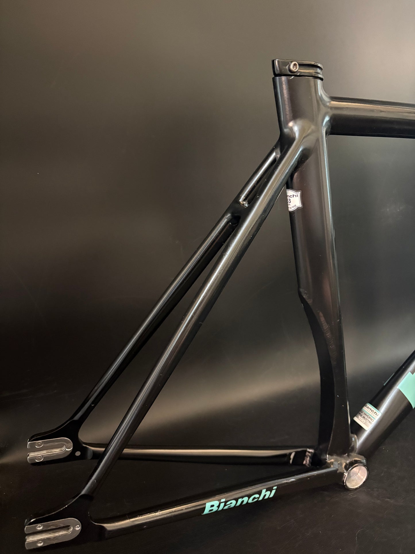 Bianchi Super Pista Frameset Black/Celeste 53cm