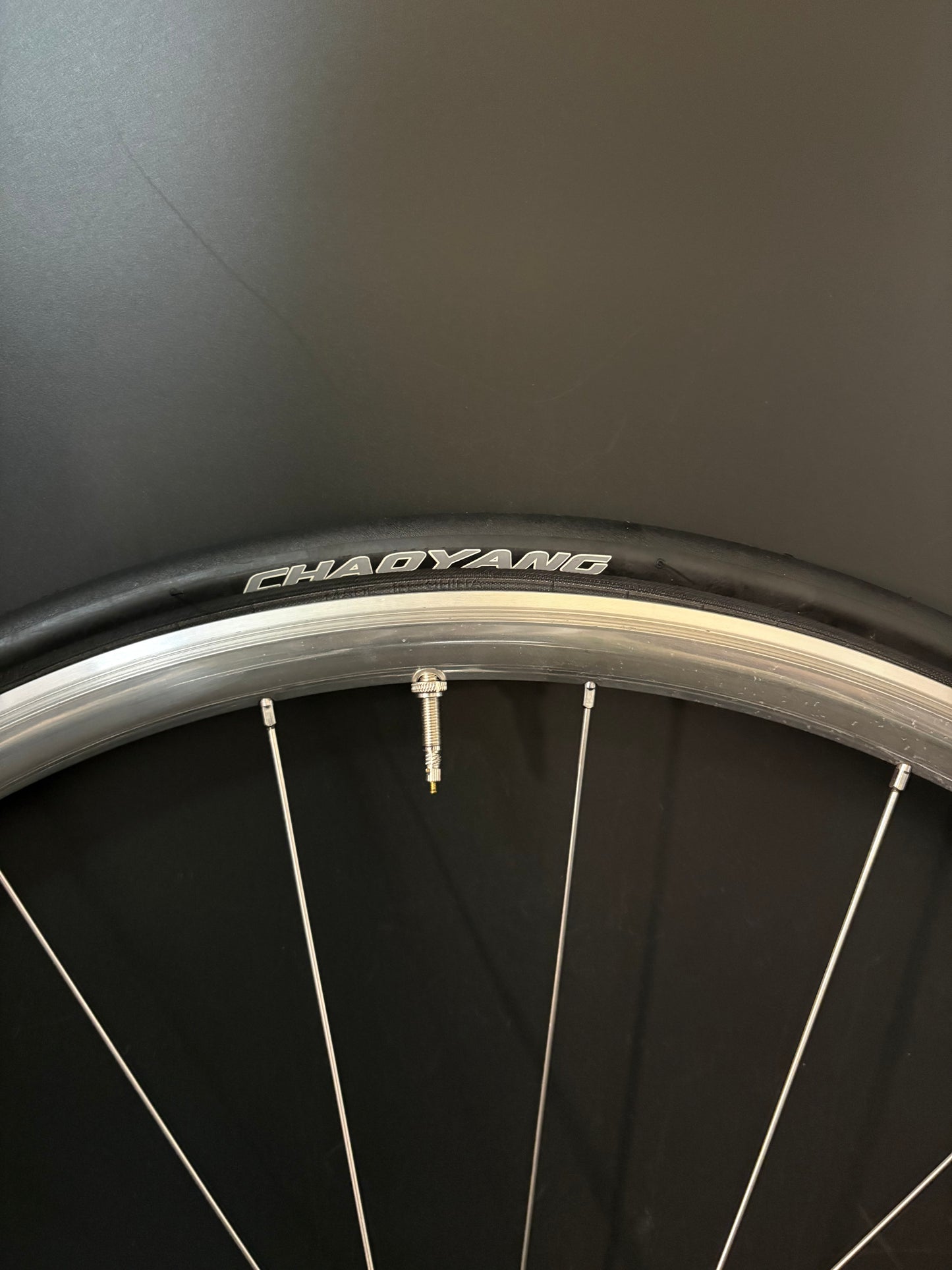 H Plus Son Archetype Silver / DT Swiss Wheelset 20/24h