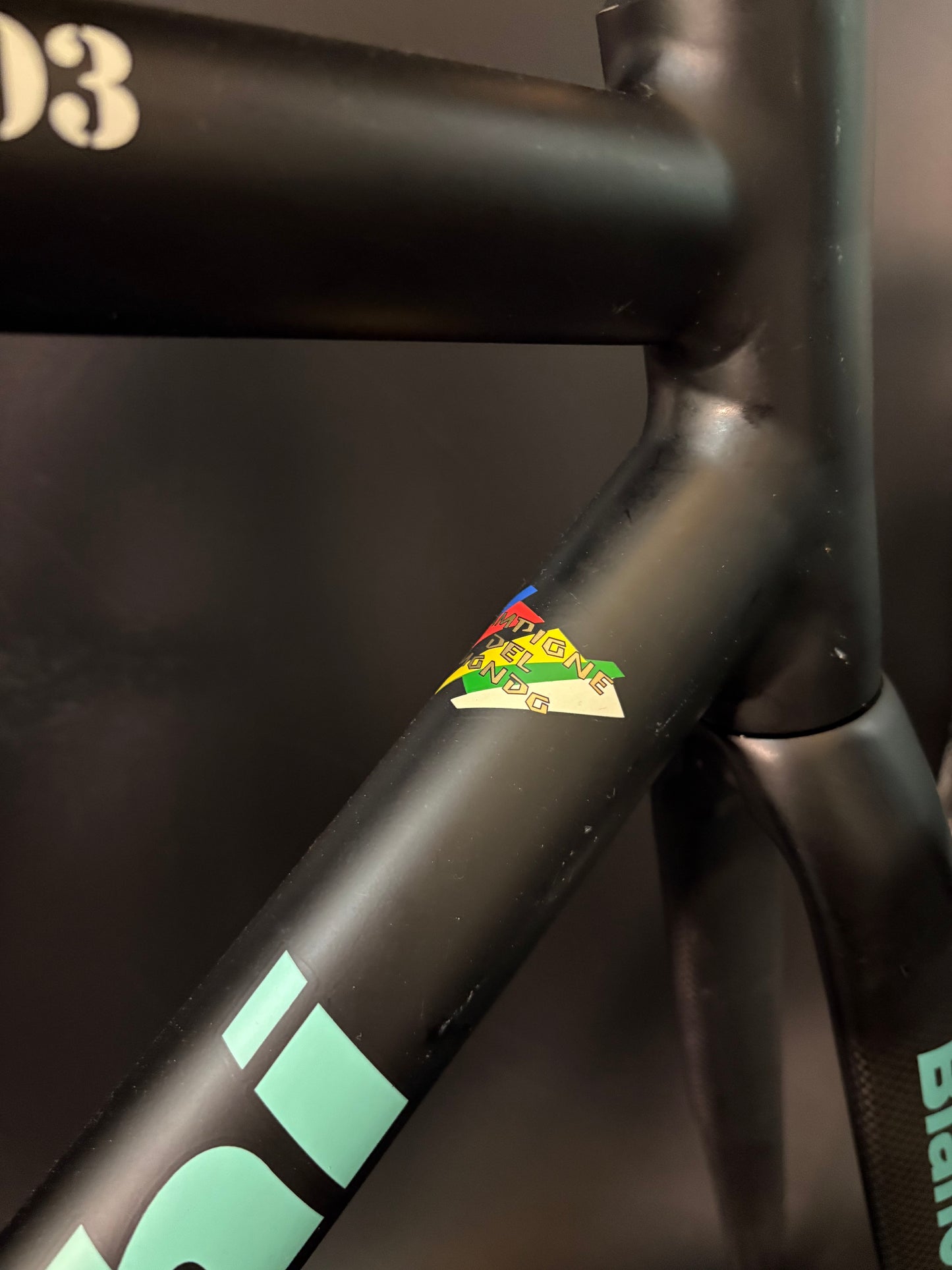 CRACKED Bianchi Pista Concept 2003 Frameset Black 55cm