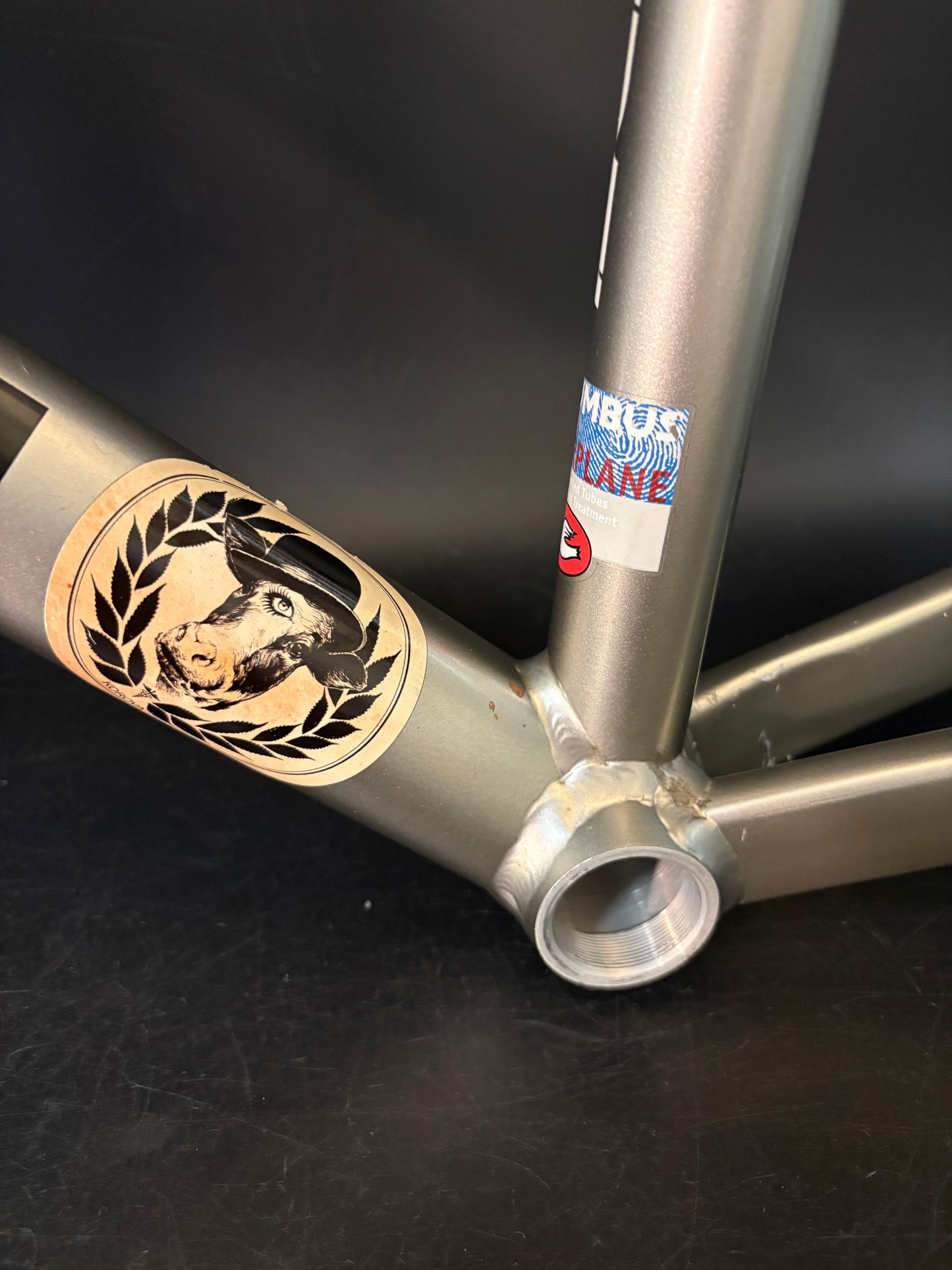 Cinelli Mash Bolt Frameset Grey 53cm