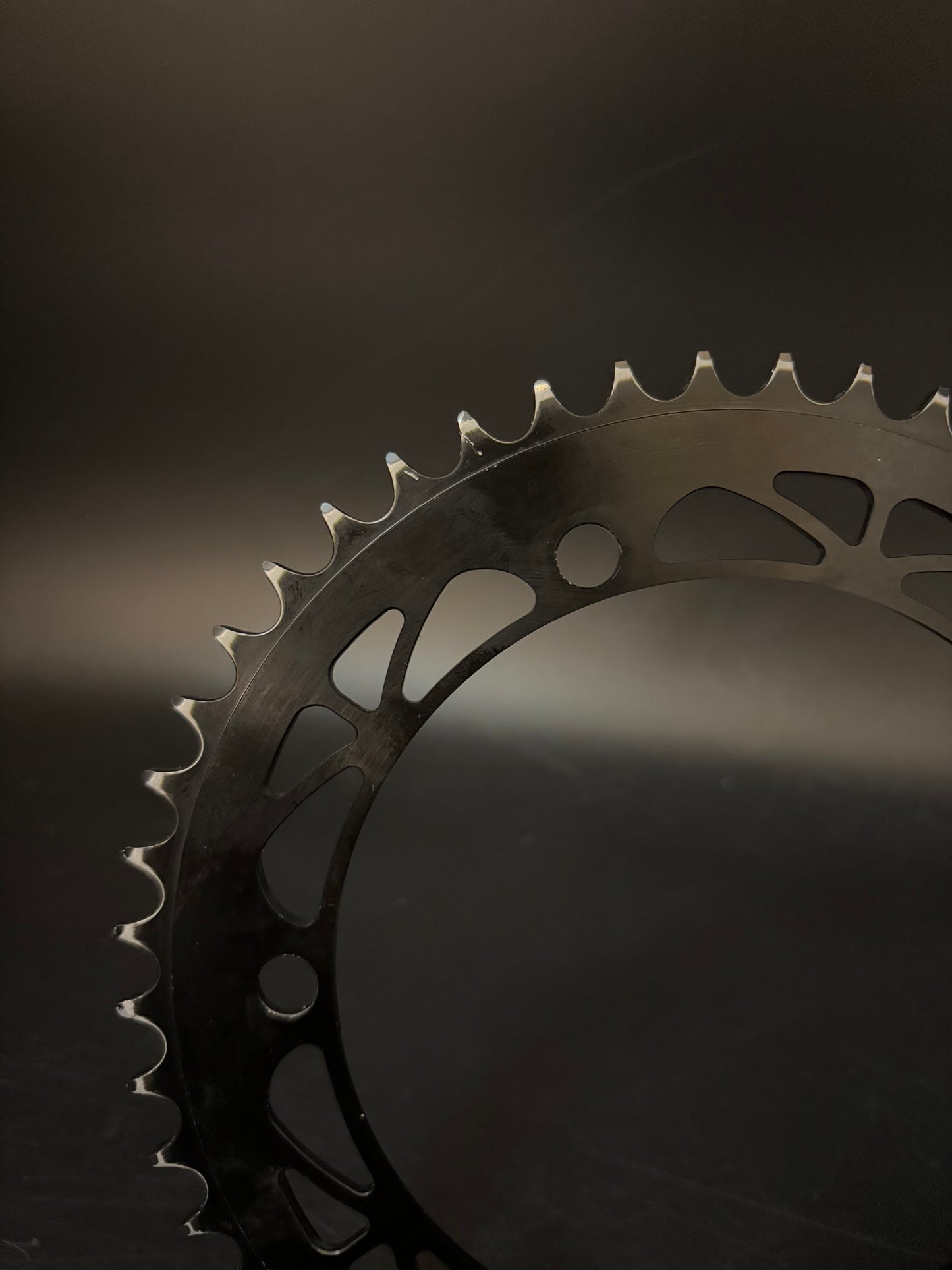 Phil Wood Chainring Black 48t