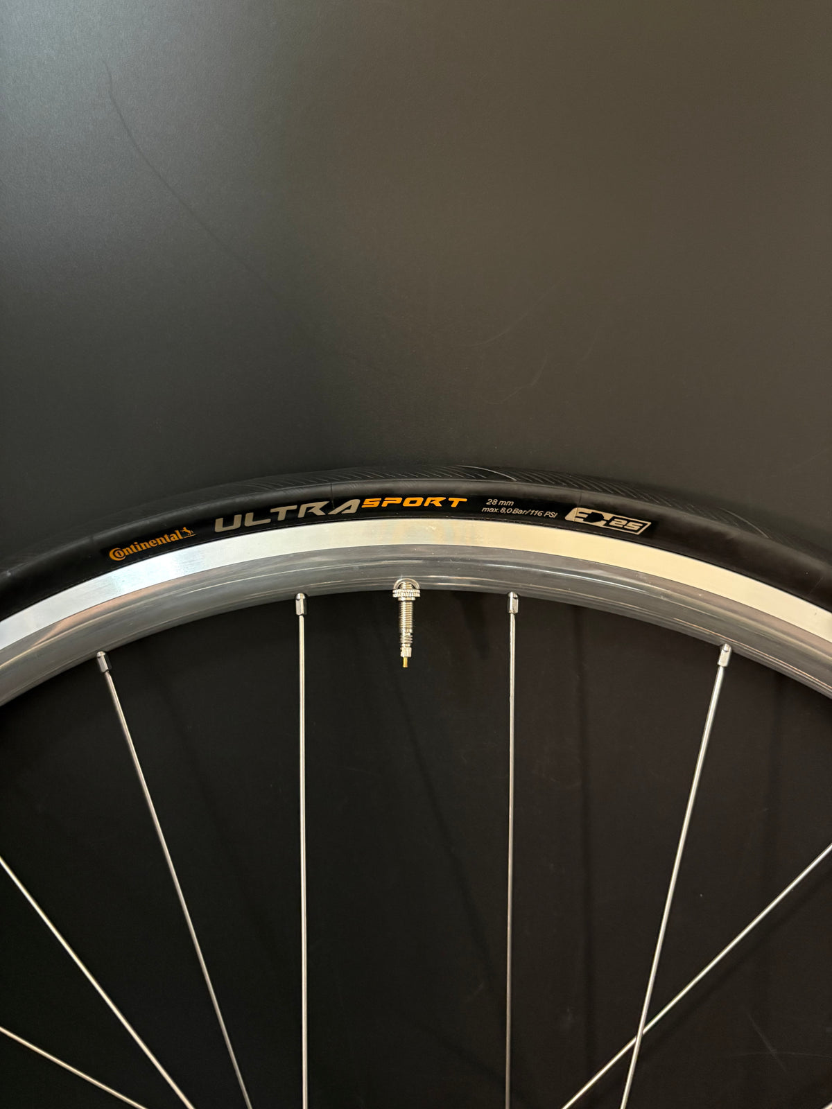 H Plus Son Archetype Silver / DT Swiss Wheelset 20/24h