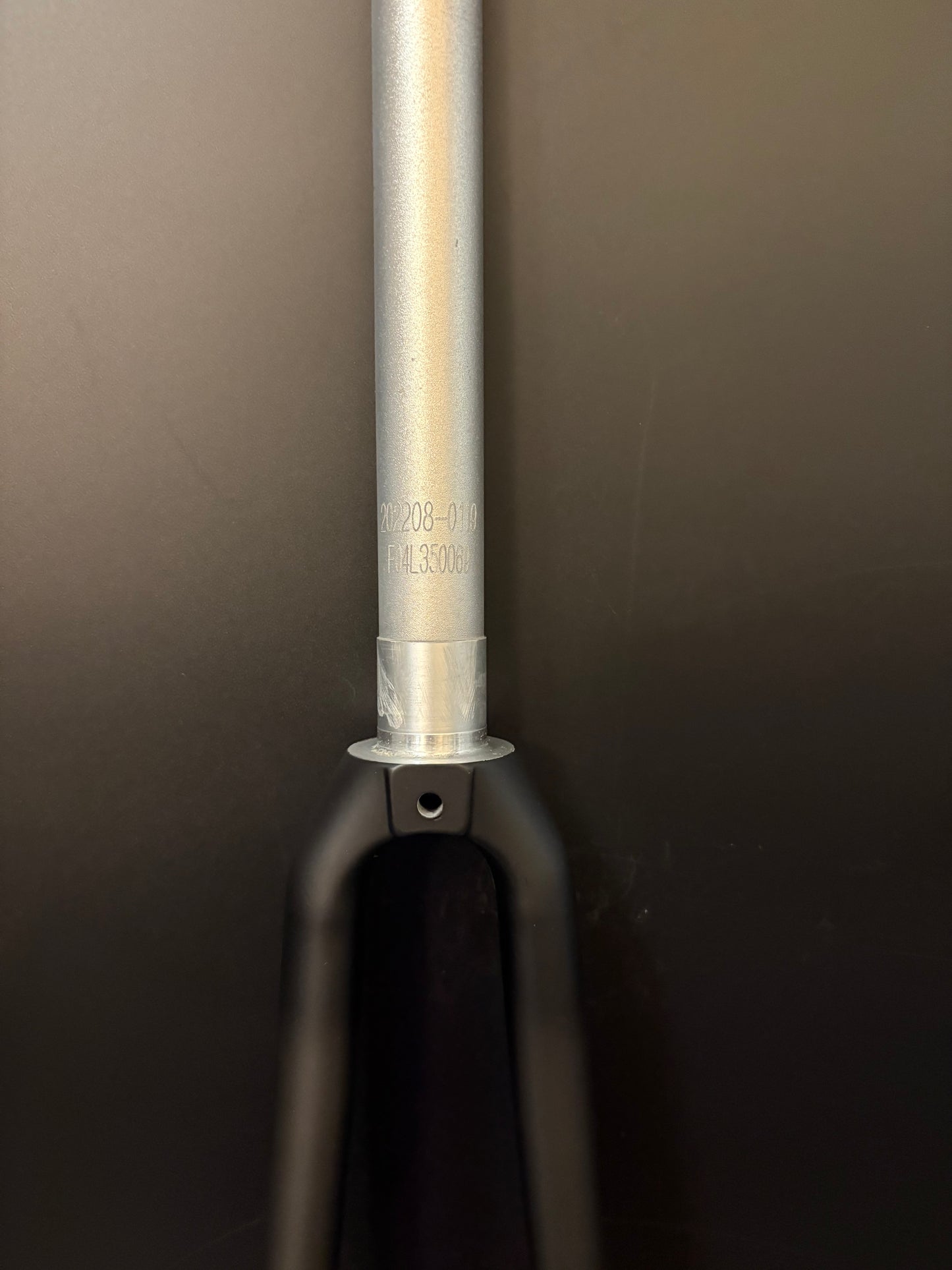 NEW Alpina Track Fork Carbon 1 1/8” 300mm