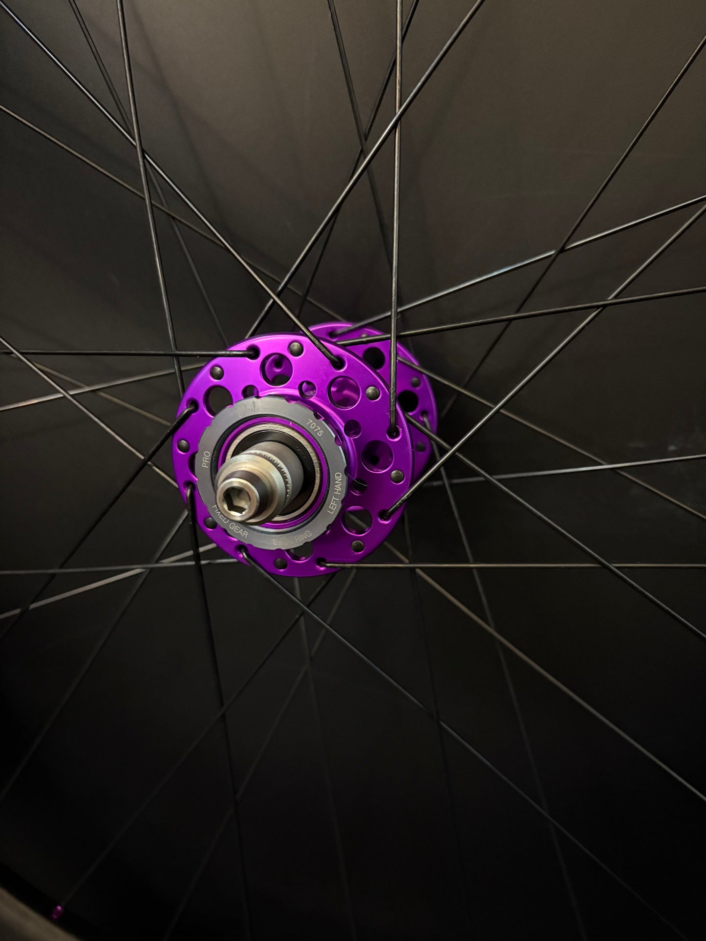 Light Bicycle 55/65mm Carbon / Phil Wood Pro HF Wheelset Purple 32h
