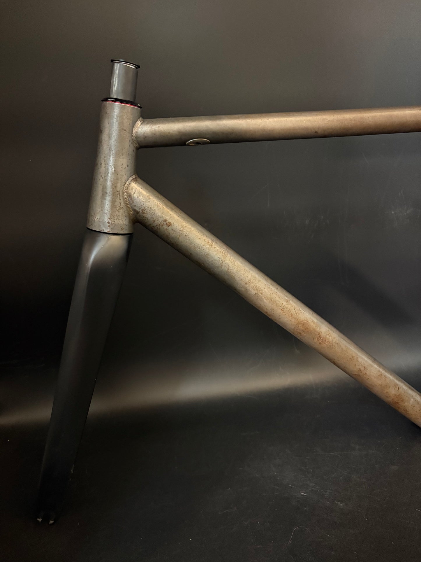 Affinity x Terry B Prototype Frameset Raw M
