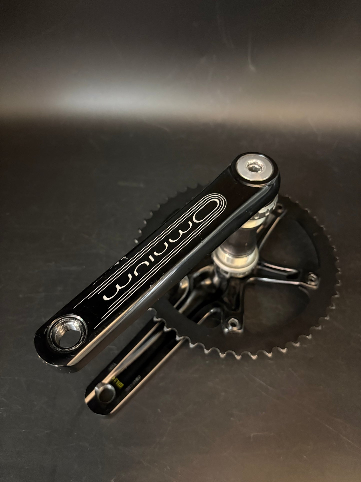 SRAM Omnium Crankset Black 165mm 48t #3