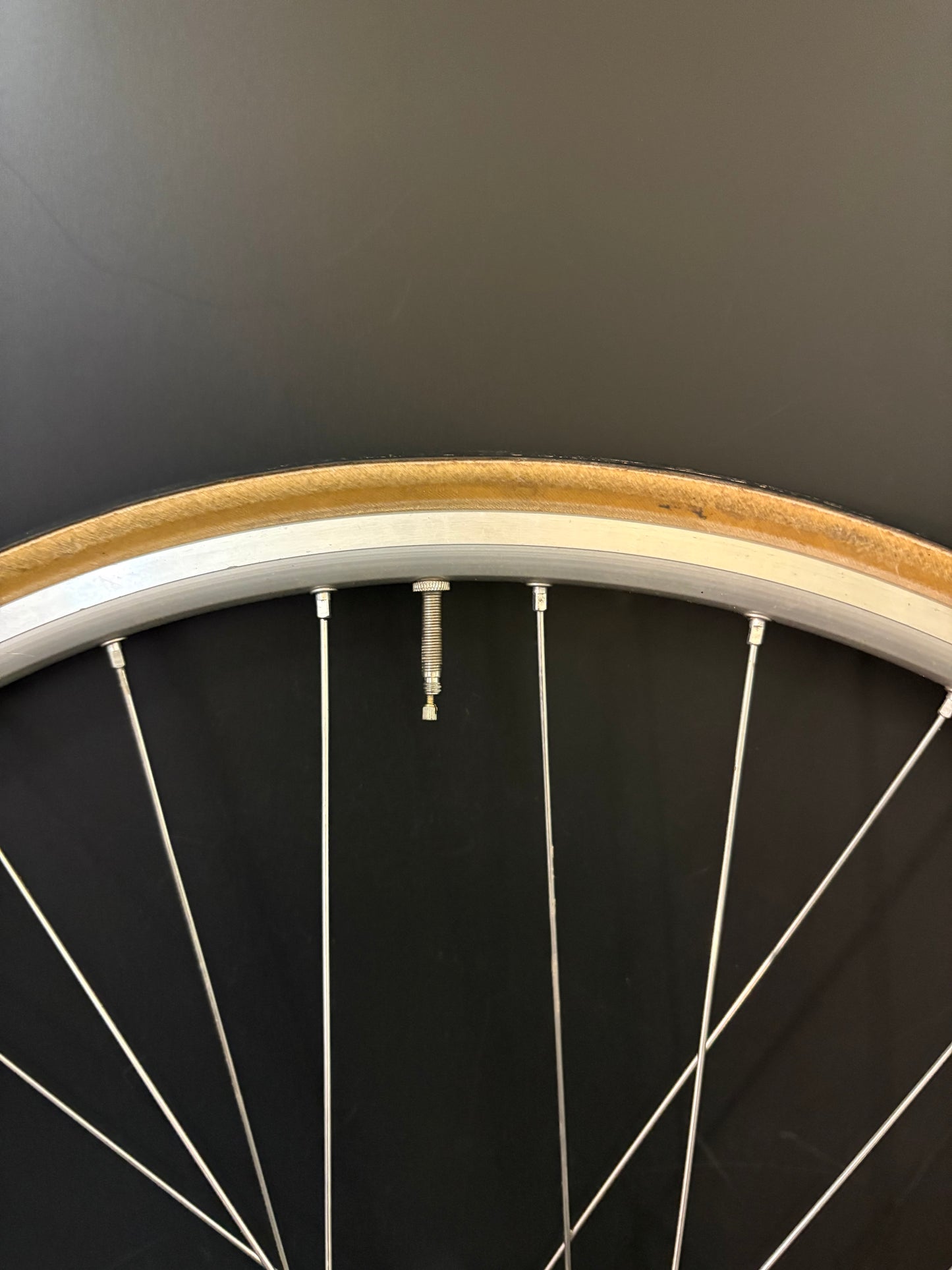 Mavic Open Pro / Campagnolo Sheriff Star Wheelset Silver 32h #1