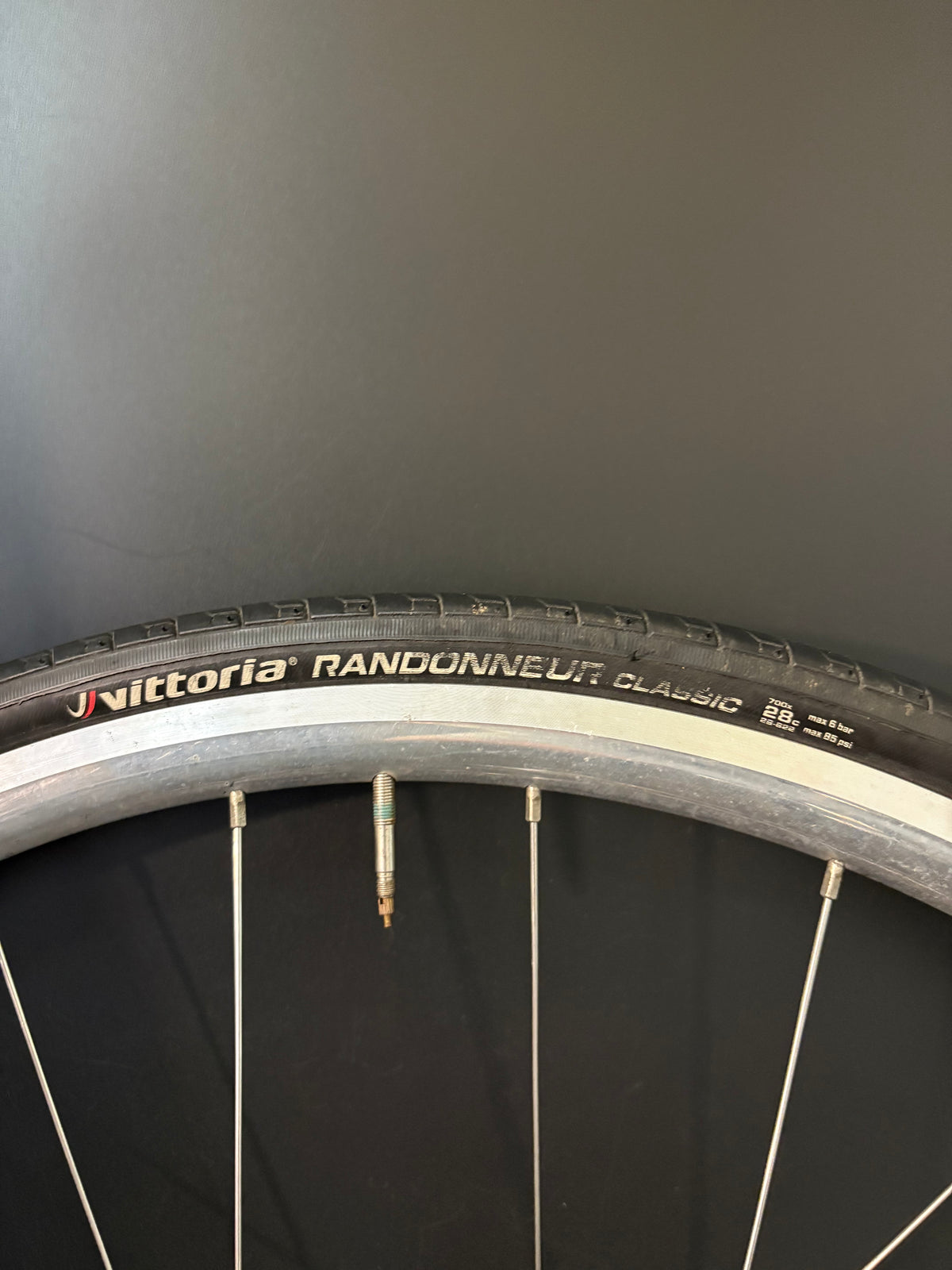 H Plus Son Archetype Silver / DT Swiss Wheelset 20/24h