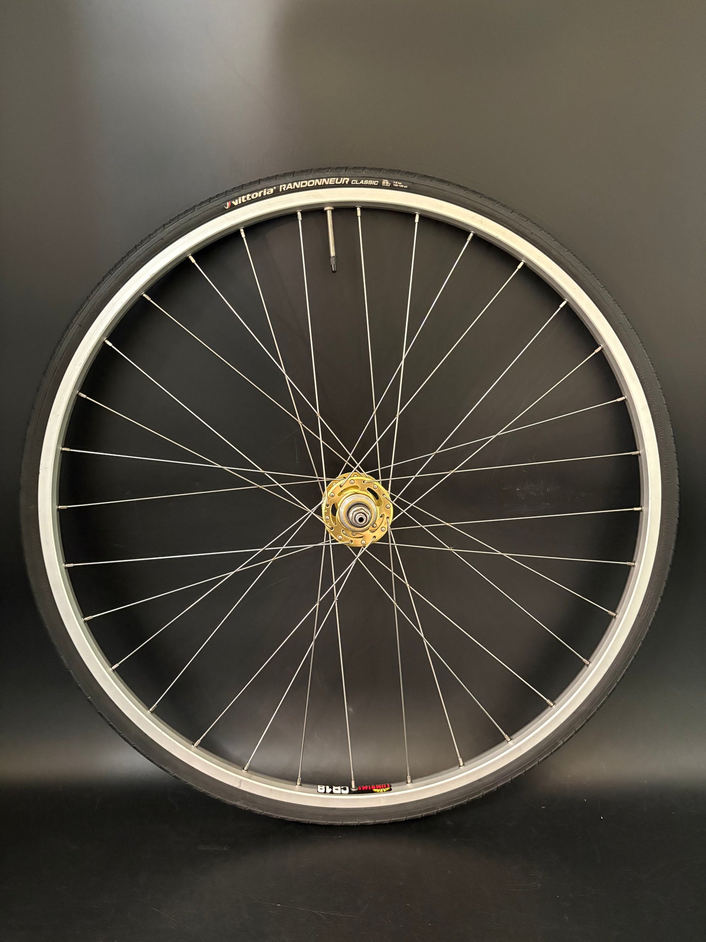 Sun Rims CR18 Silver / All City Gold Rear Wheel 32h