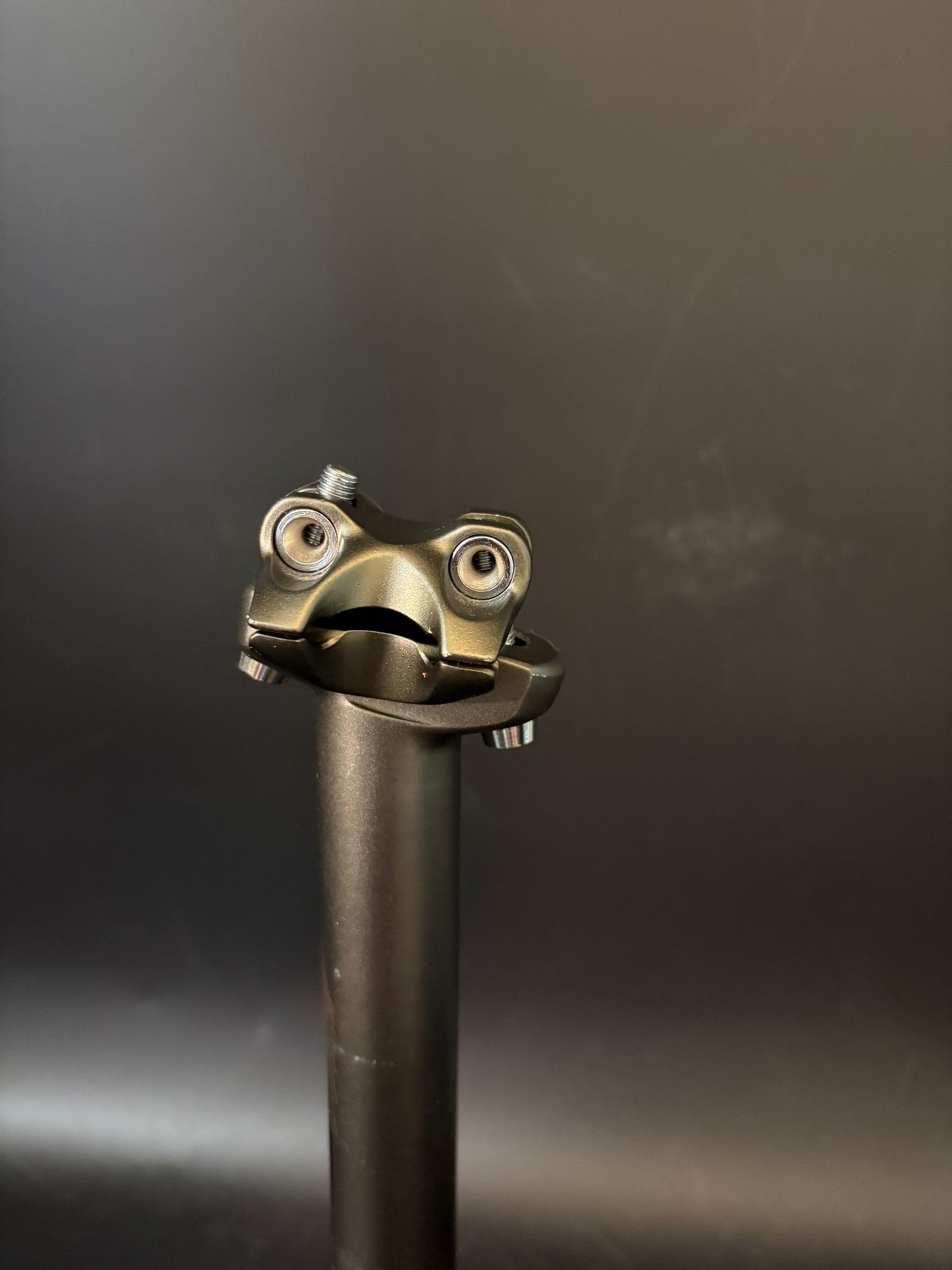 SimWorks Froggy Seatpost Stealth 27.2 300mm
