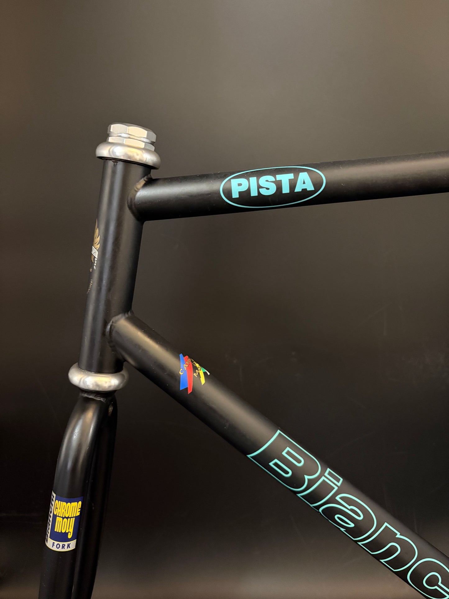 Bianchi Pista Frameset Black 57cm w/ Crankset + Saddle