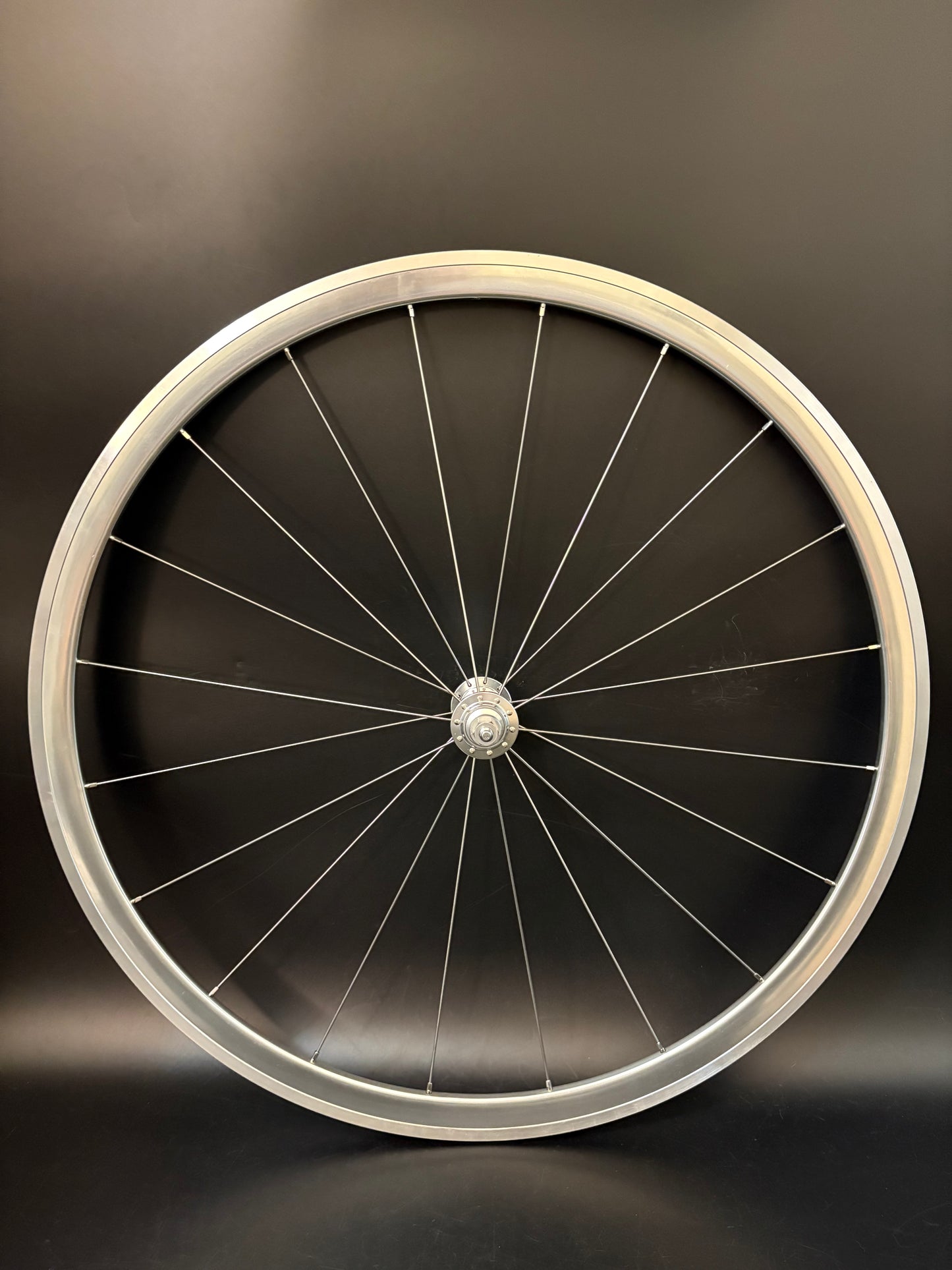 Blue Lug Gran Compe Track Wheelset Silver 20/24h