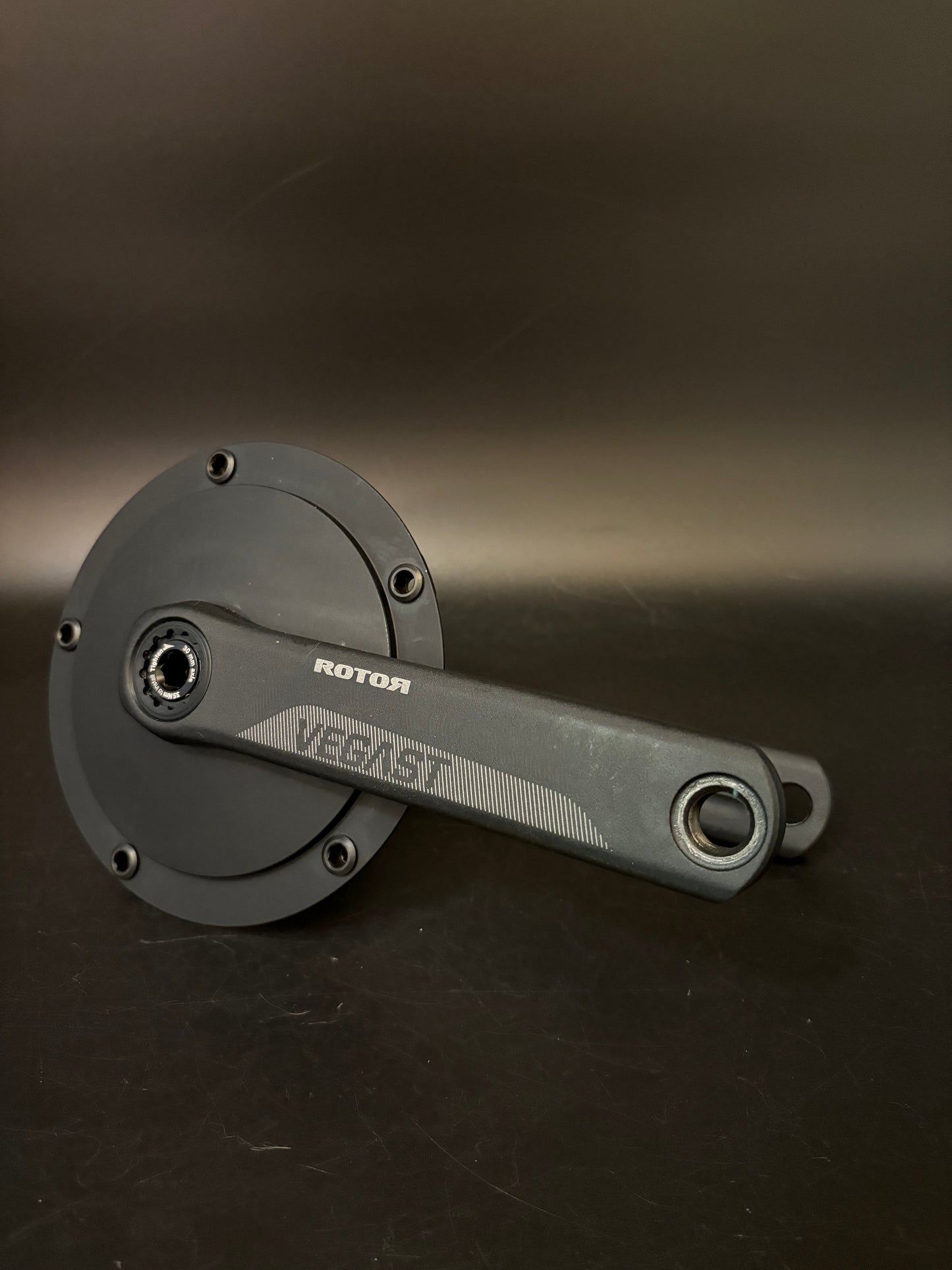 Rotor Vegast Cranks Black 170mm