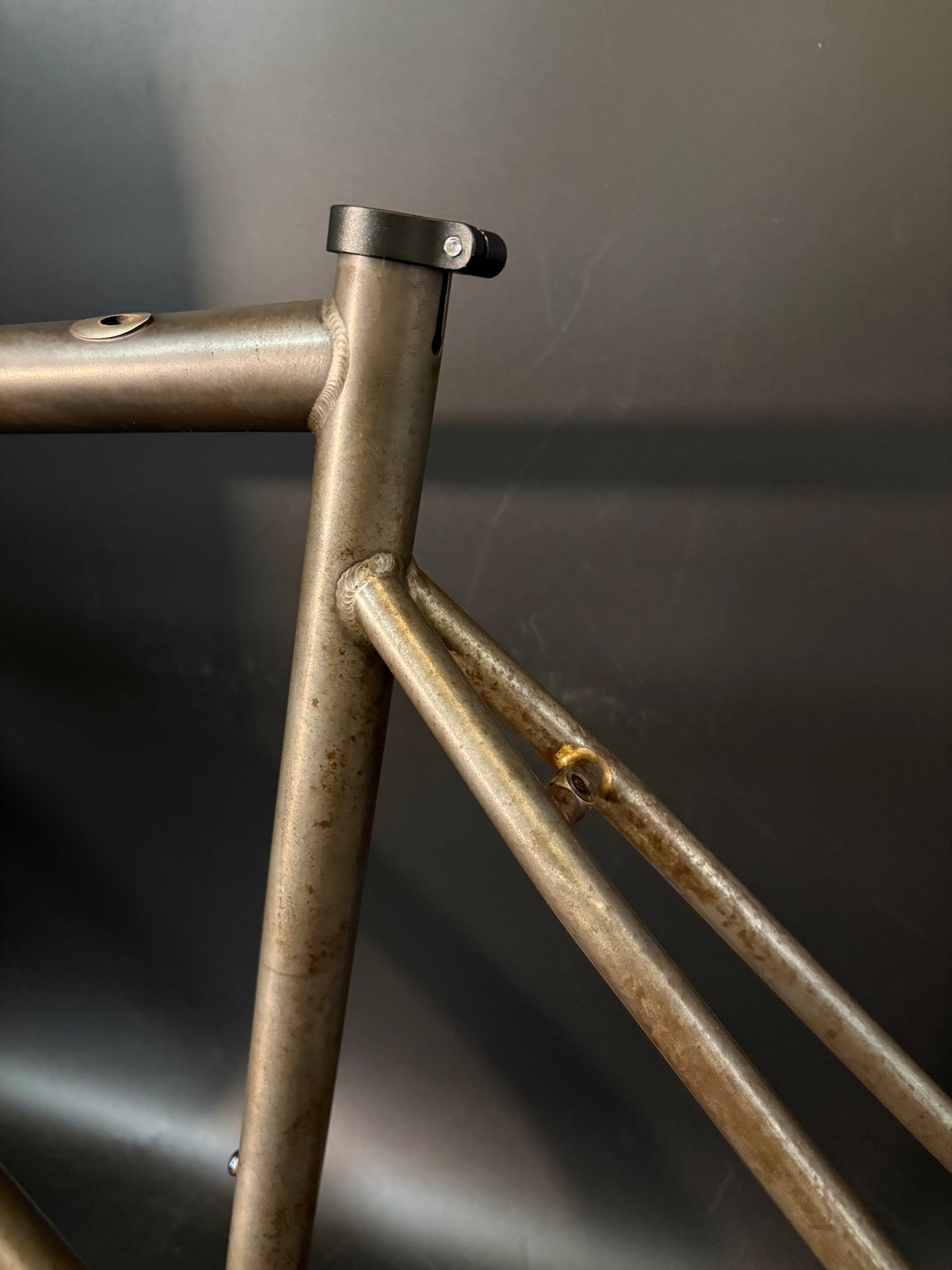 Affinity x Terry B Prototype Frameset Raw M