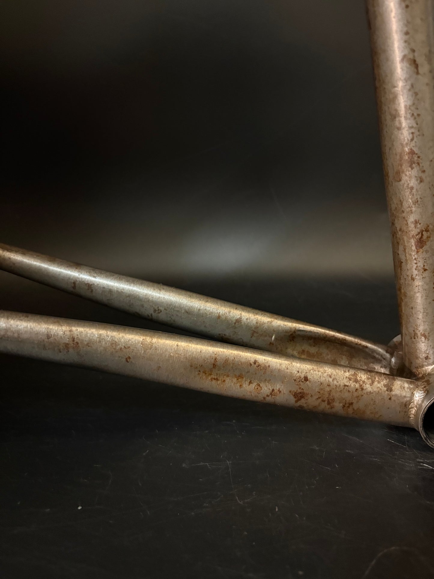 Affinity x Terry B Prototype Frameset Raw M