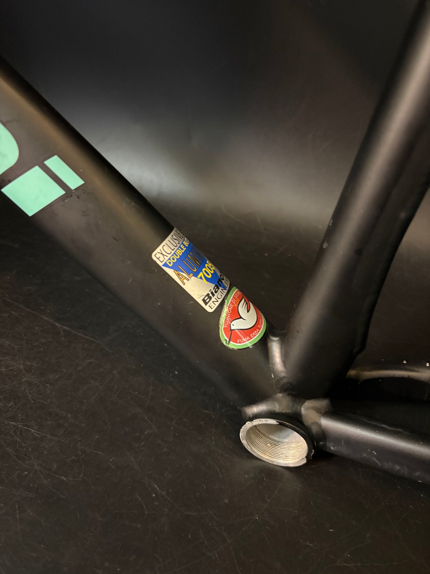 CRACKED Bianchi Pista Concept 2003 Frameset Black 55cm