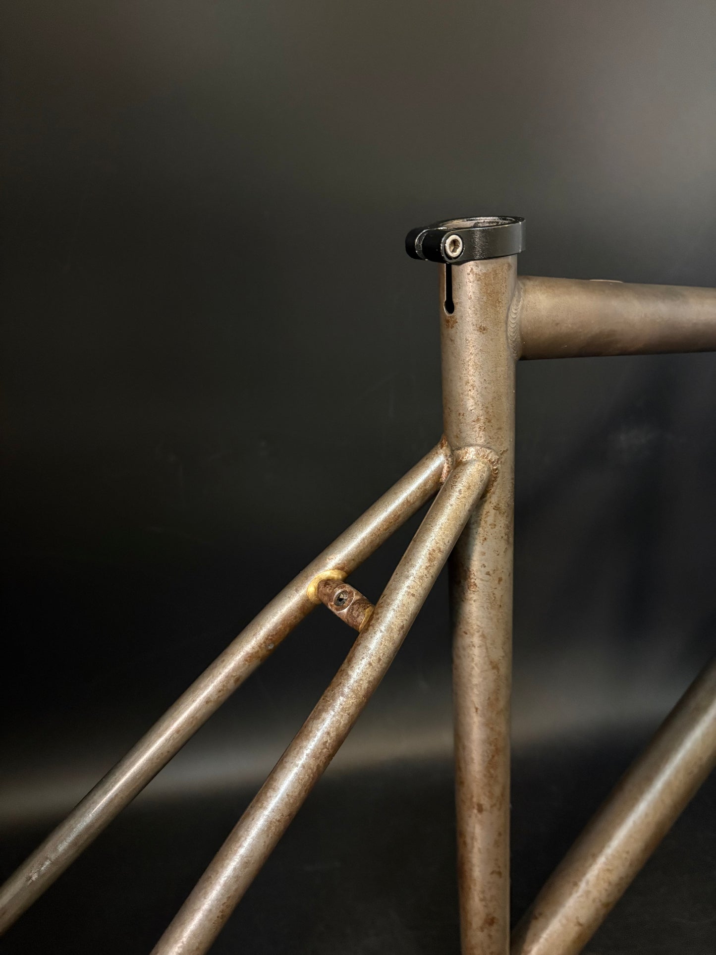 Affinity x Terry B Prototype Frameset Raw M