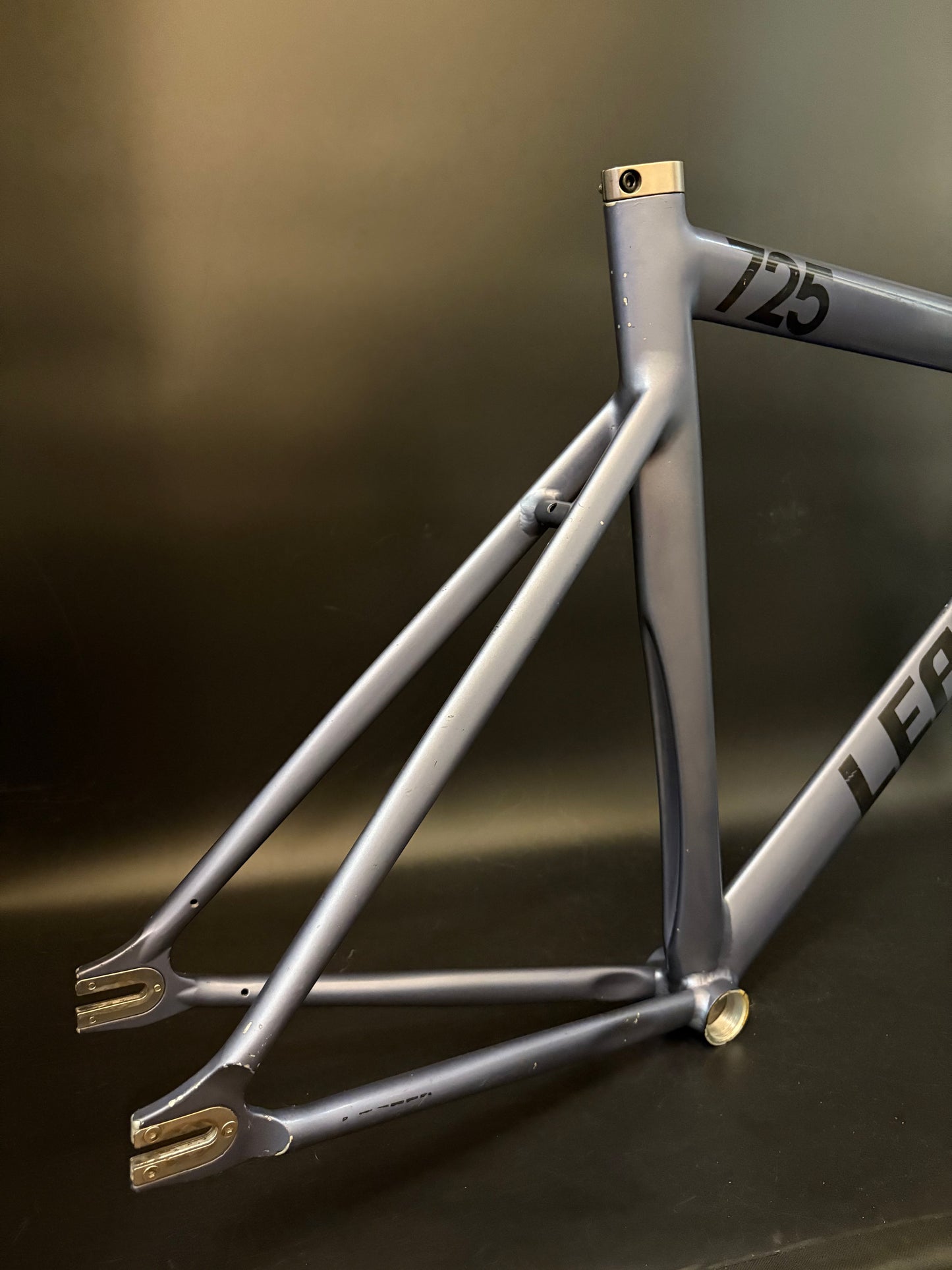 Leader 725 Frameset Pearlescent Blue 55cm