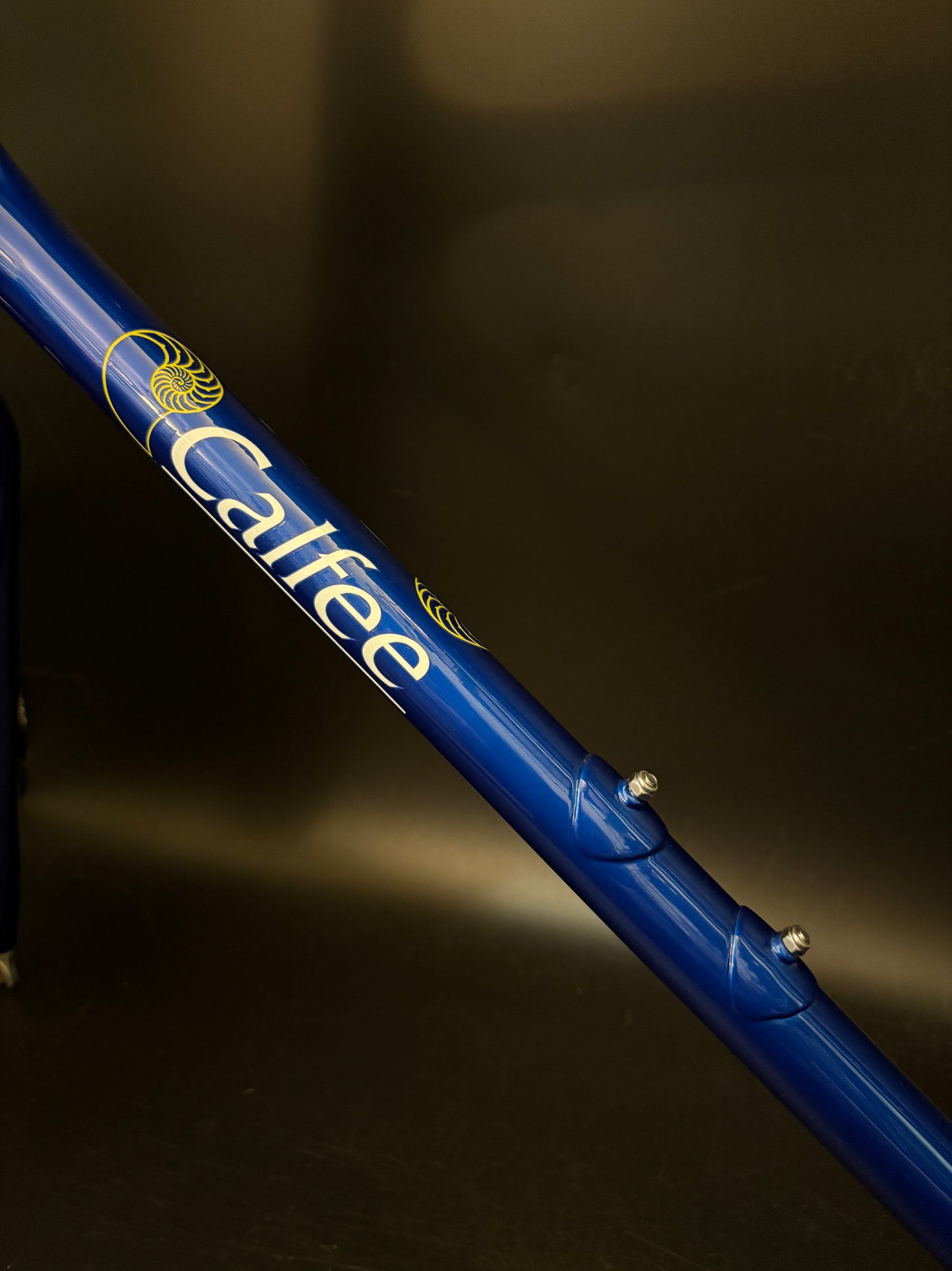 Calfee Pista Roya Carbon Frameset Blue 56cm