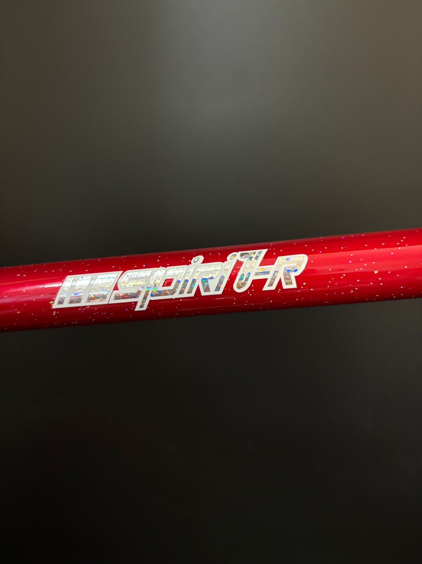 Rinsei Lab NJS Frameset Red 57cm ST 56cm TT
