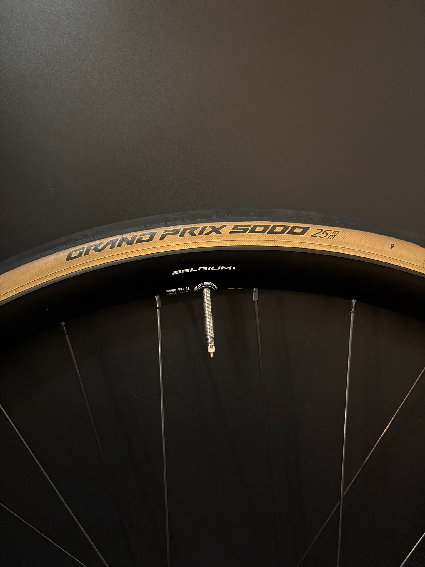 HED Belgium R Black / Phil Wood HF Wheelset 32h