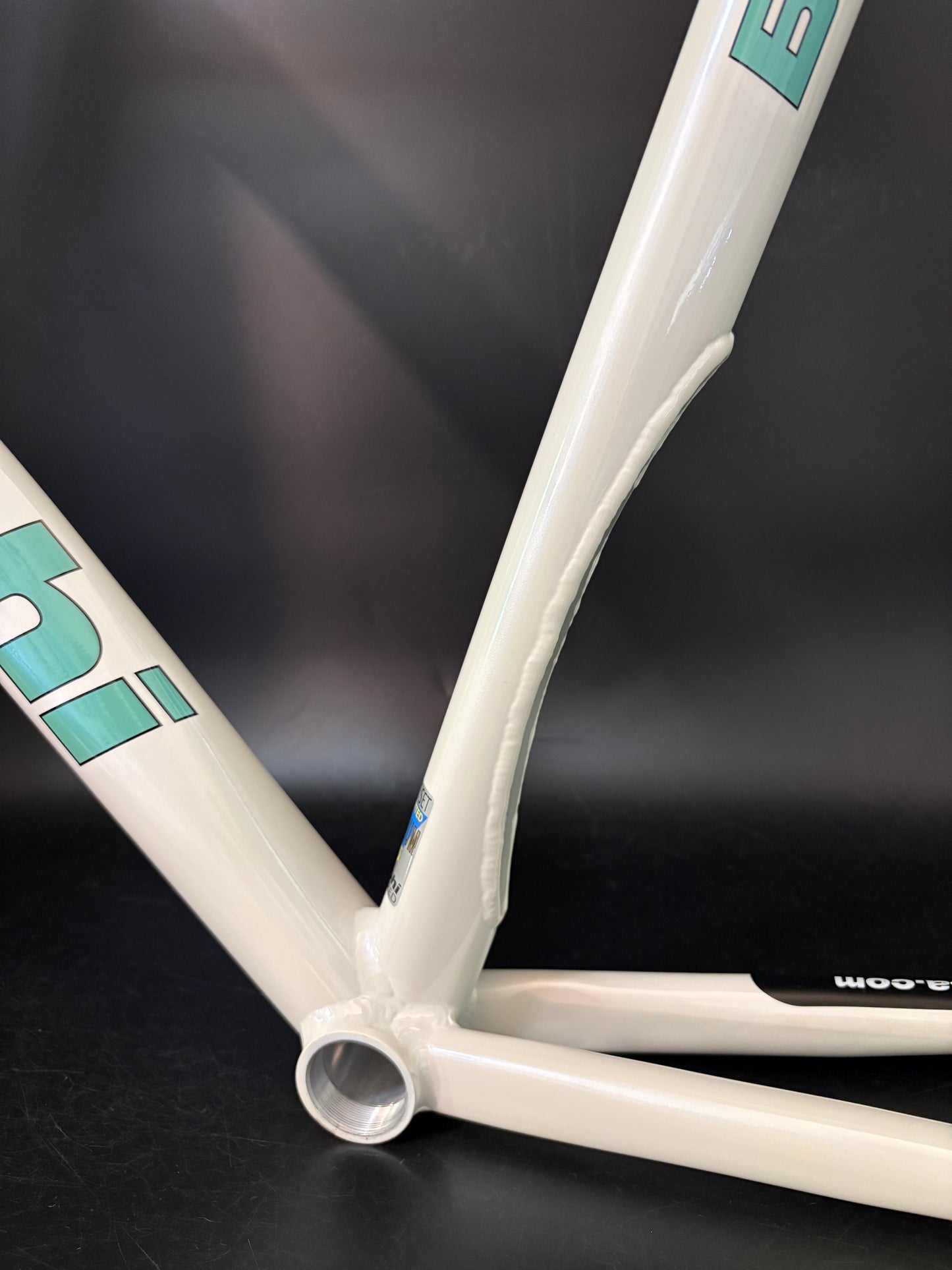 NOS Bianchi Pista Concept 2008 Frameset White 61cm