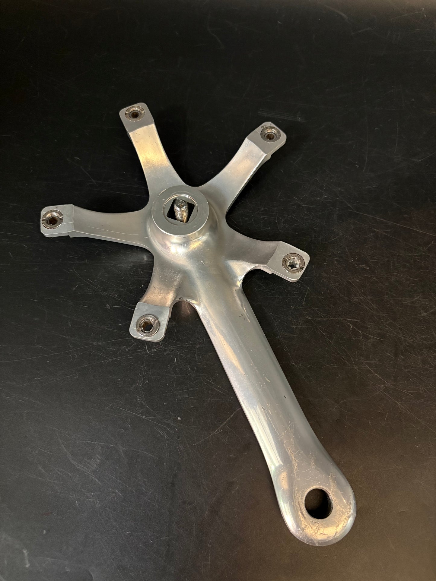 Campagnolo Record Pista Cranks Silver 170mm