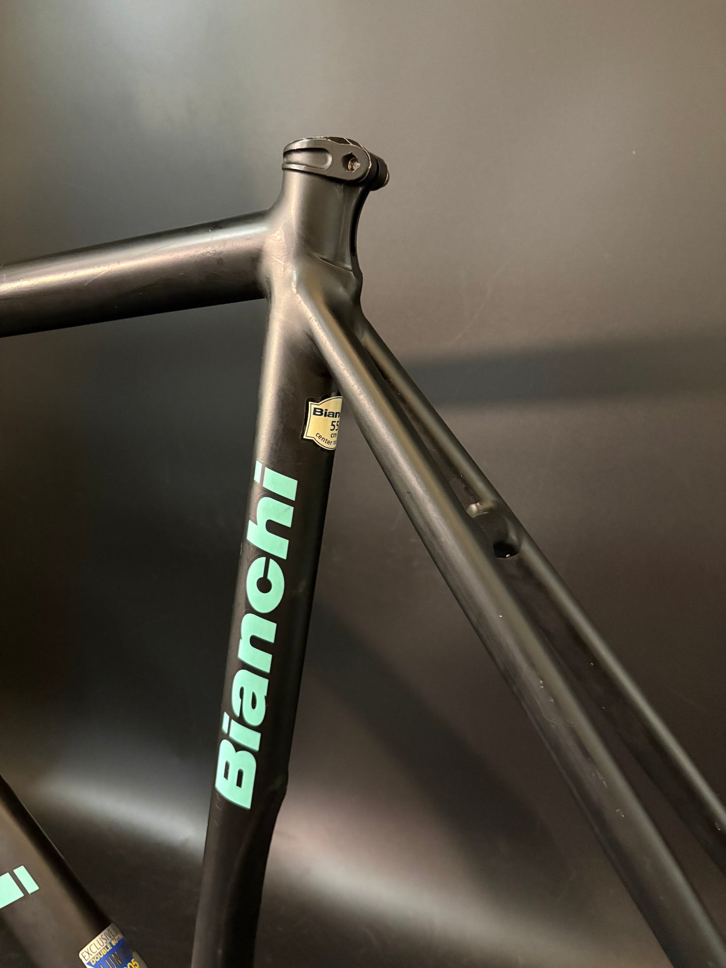 CRACKED Bianchi Pista Concept 2003 Frameset Black 55cm