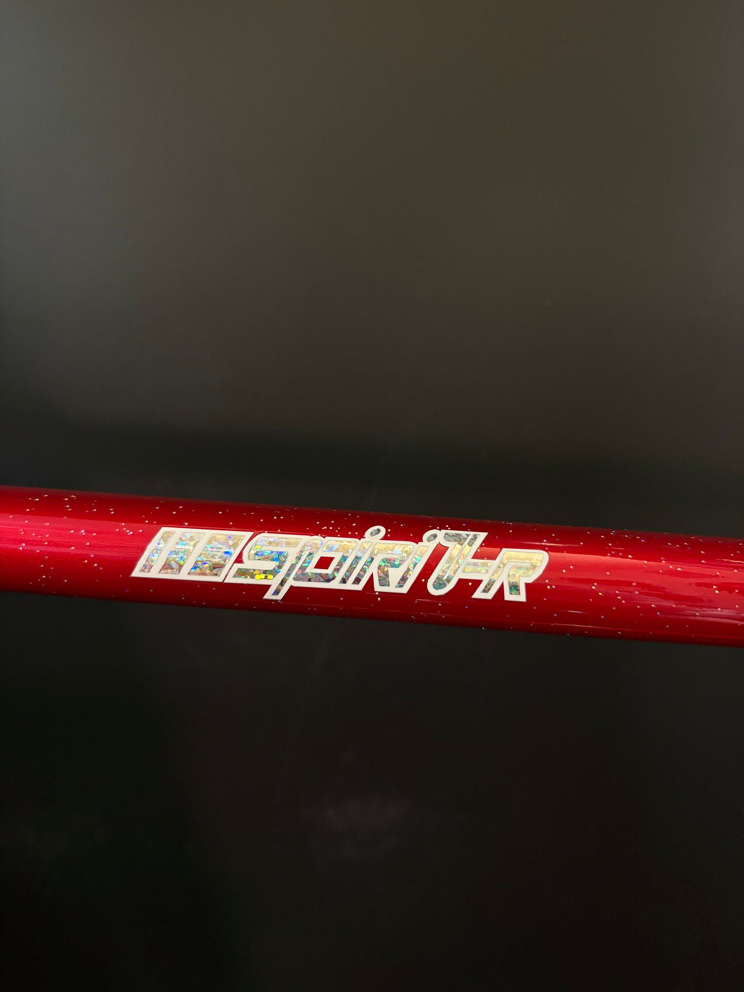Rinsei Lab NJS Frameset Red 57cm ST 56cm TT