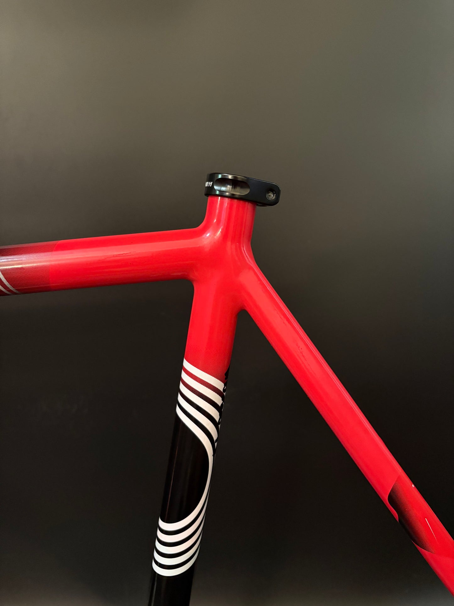 Engine 11 Crit D Frameset IRD Squadra Course Edition 56cm L