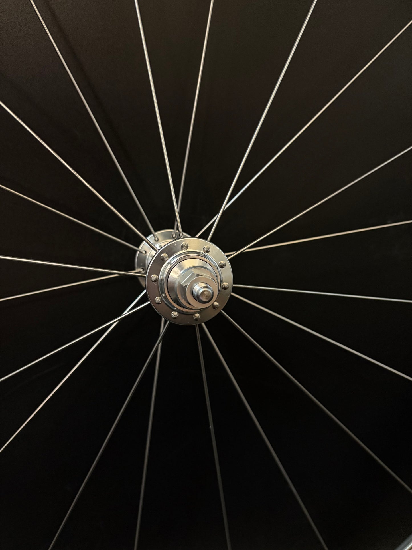 Blue Lug Gran Compe Track Wheelset Silver 20/24h