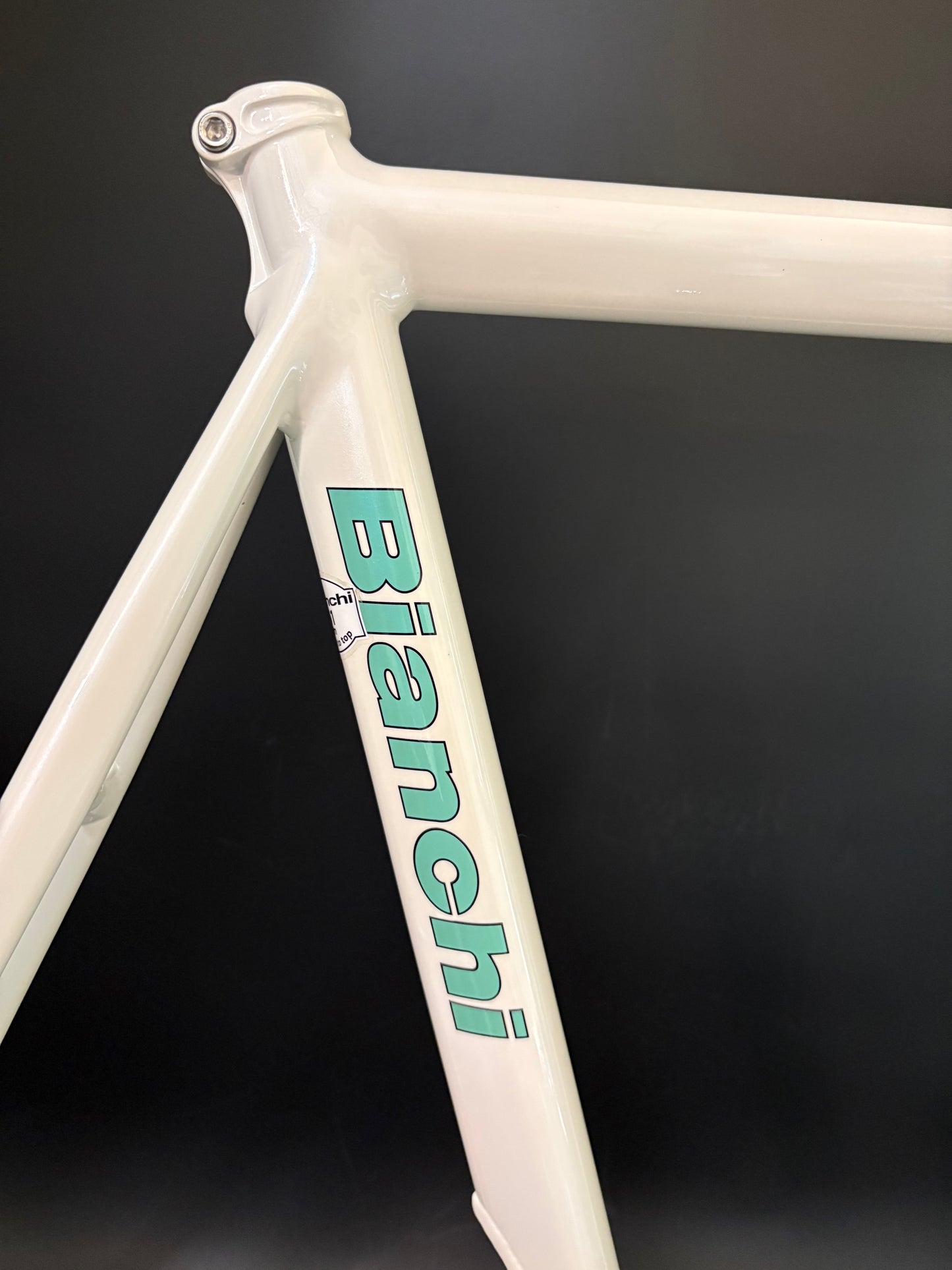 NOS Bianchi Pista Concept 2008 Frameset White 61cm