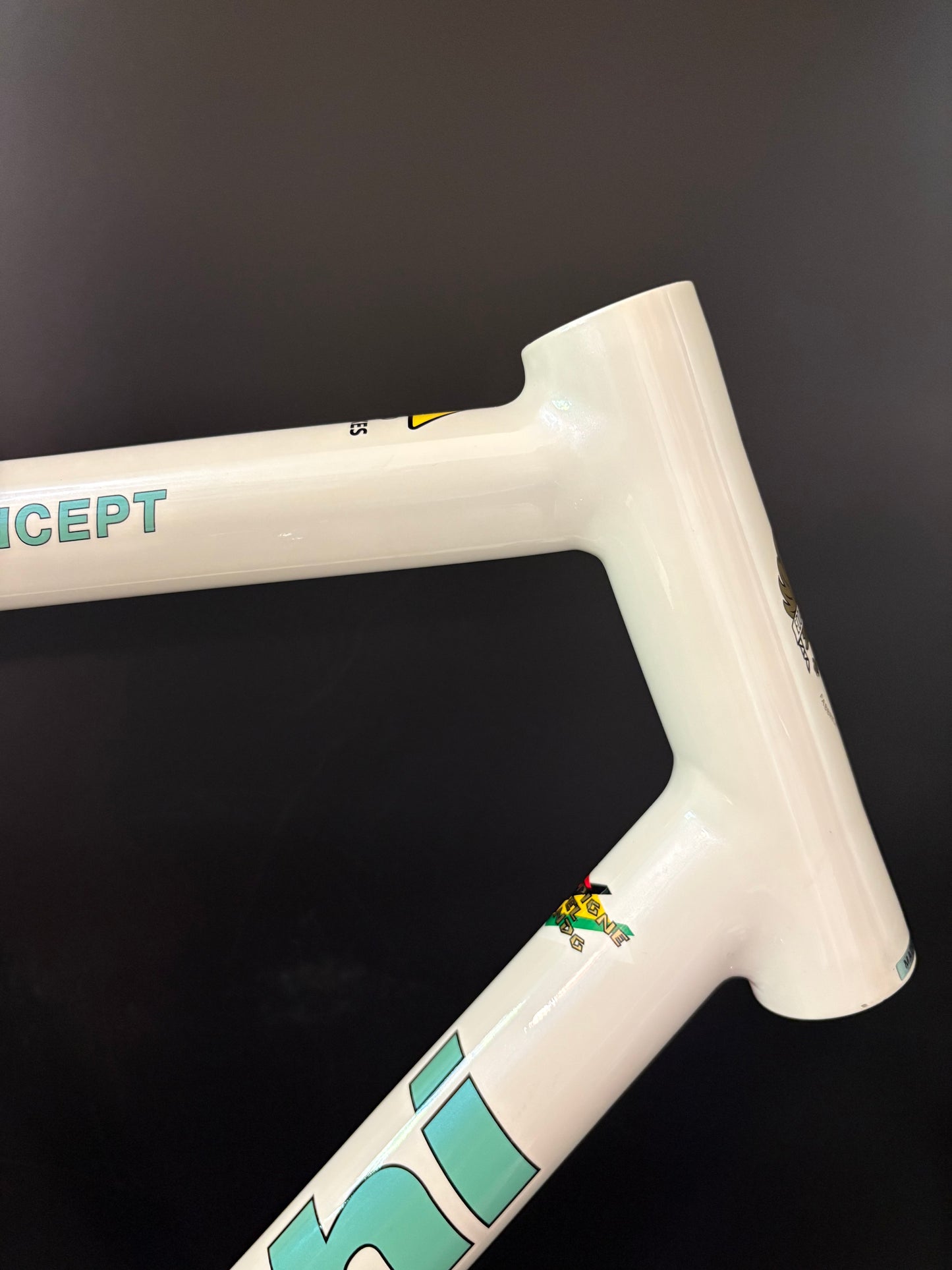 NOS Bianchi Pista Concept 2008 Frameset White 61cm