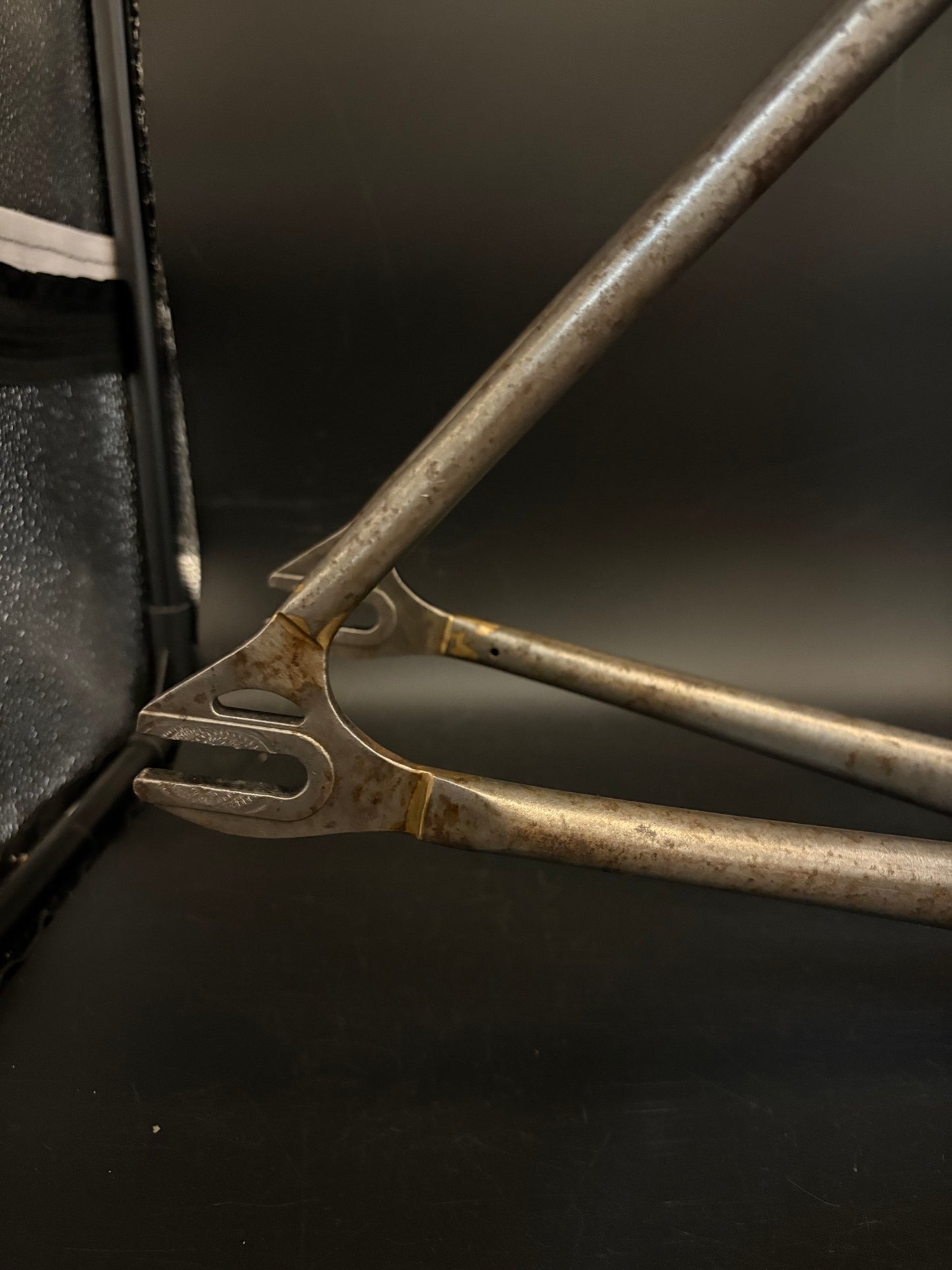 Affinity x Terry B Prototype Frameset Raw M