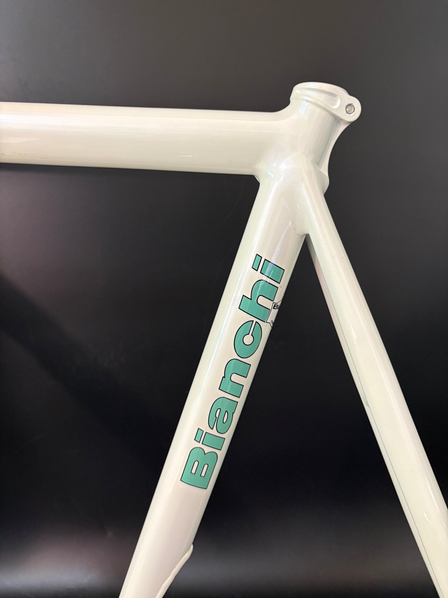 NOS Bianchi Pista Concept 2008 Frameset White 61cm