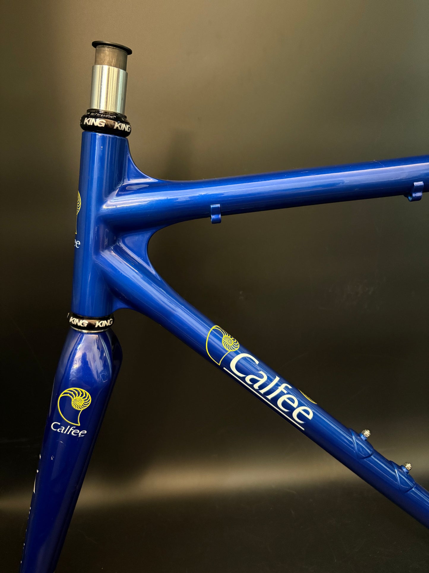 Calfee Pista Roya Carbon Frameset Blue 56cm
