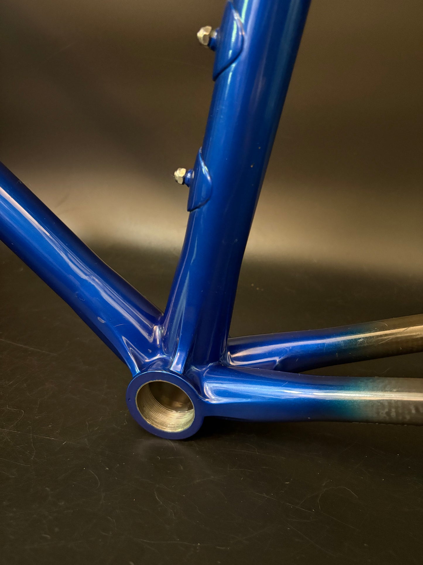 Calfee Pista Roya Carbon Frameset Blue 56cm