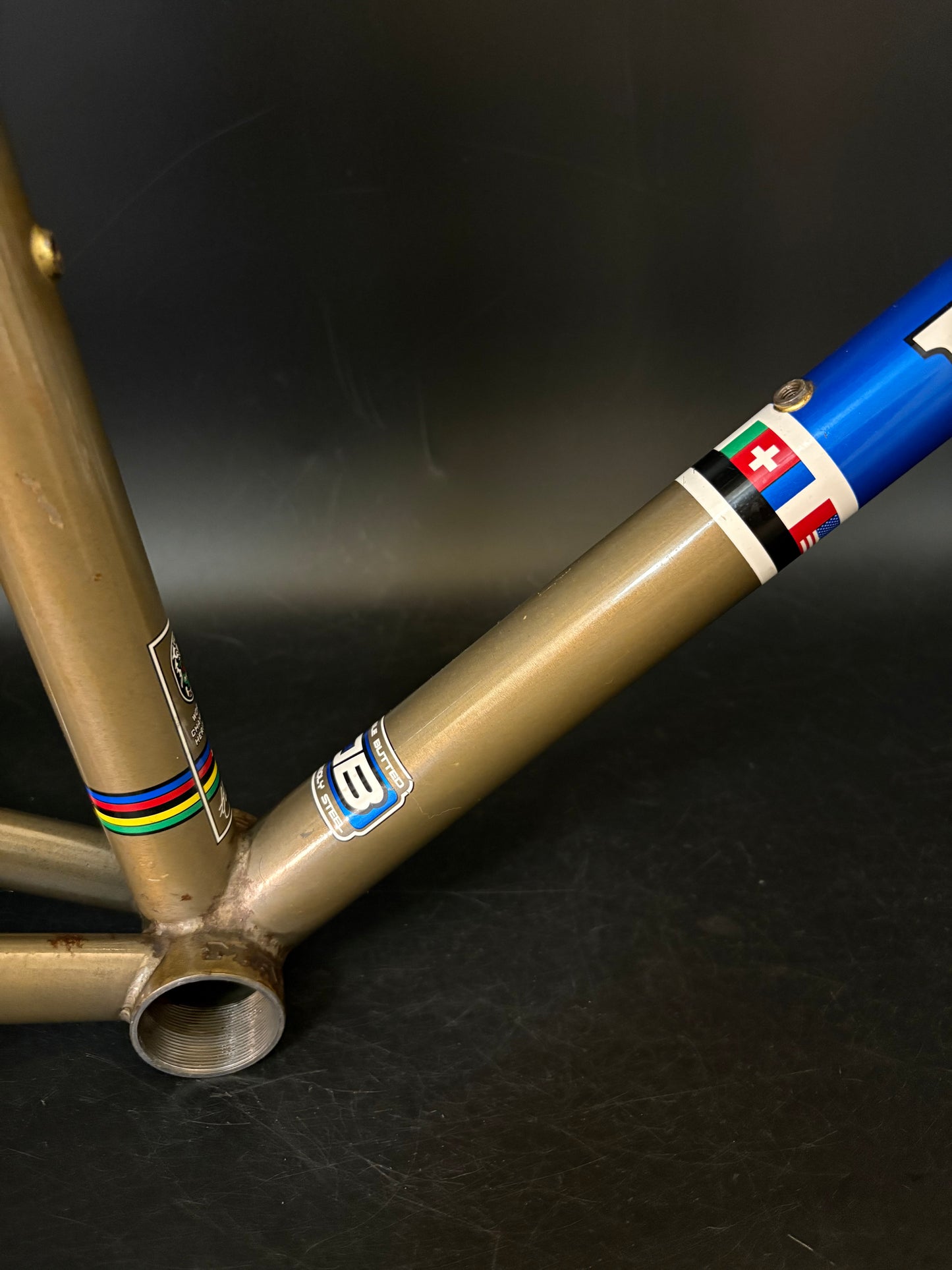 Masi Speciale Fixed LTD Frameset Raw 56cm