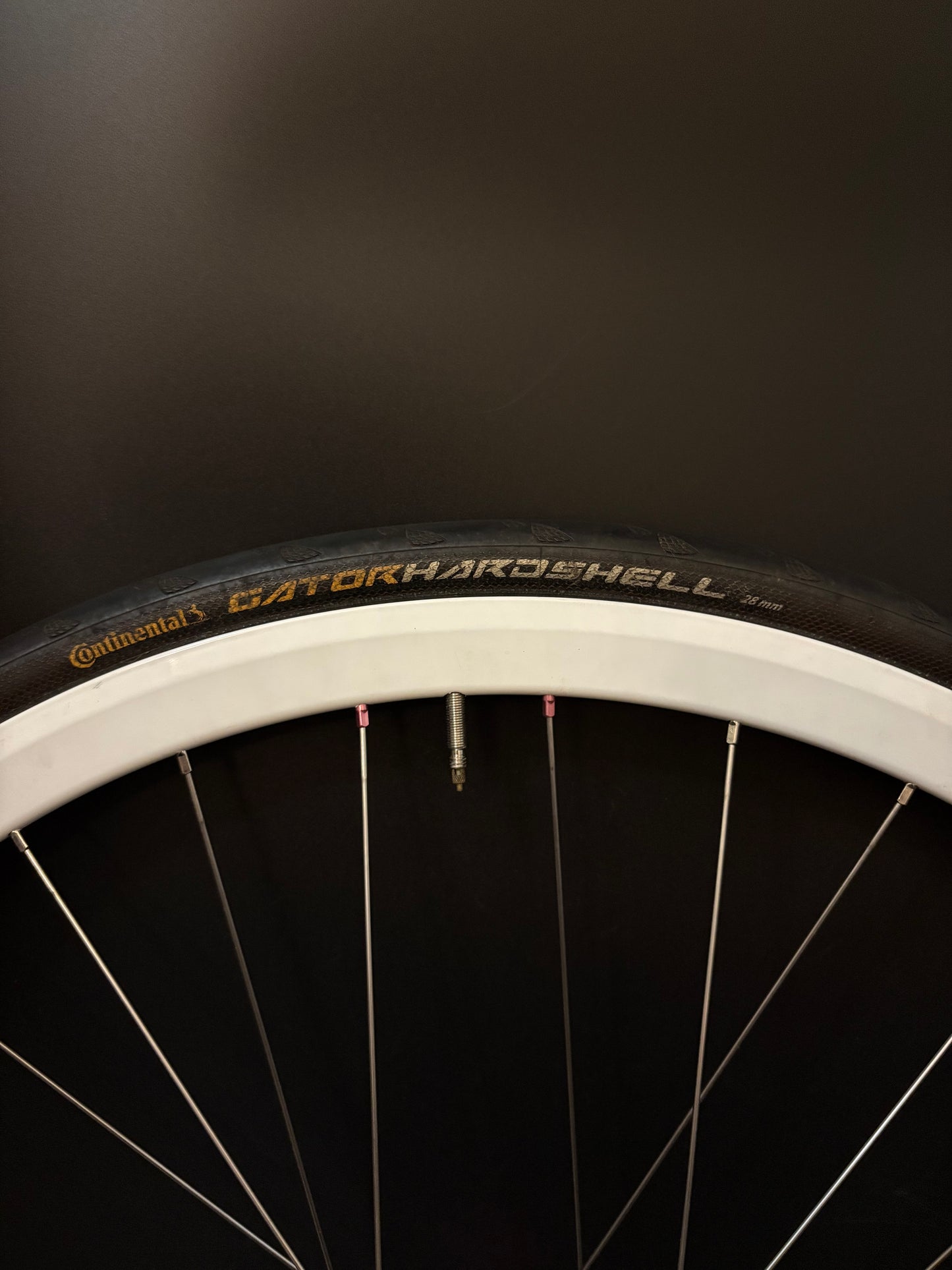 Velocity Deep V White / Gran Compe Pink Wheelset 32h