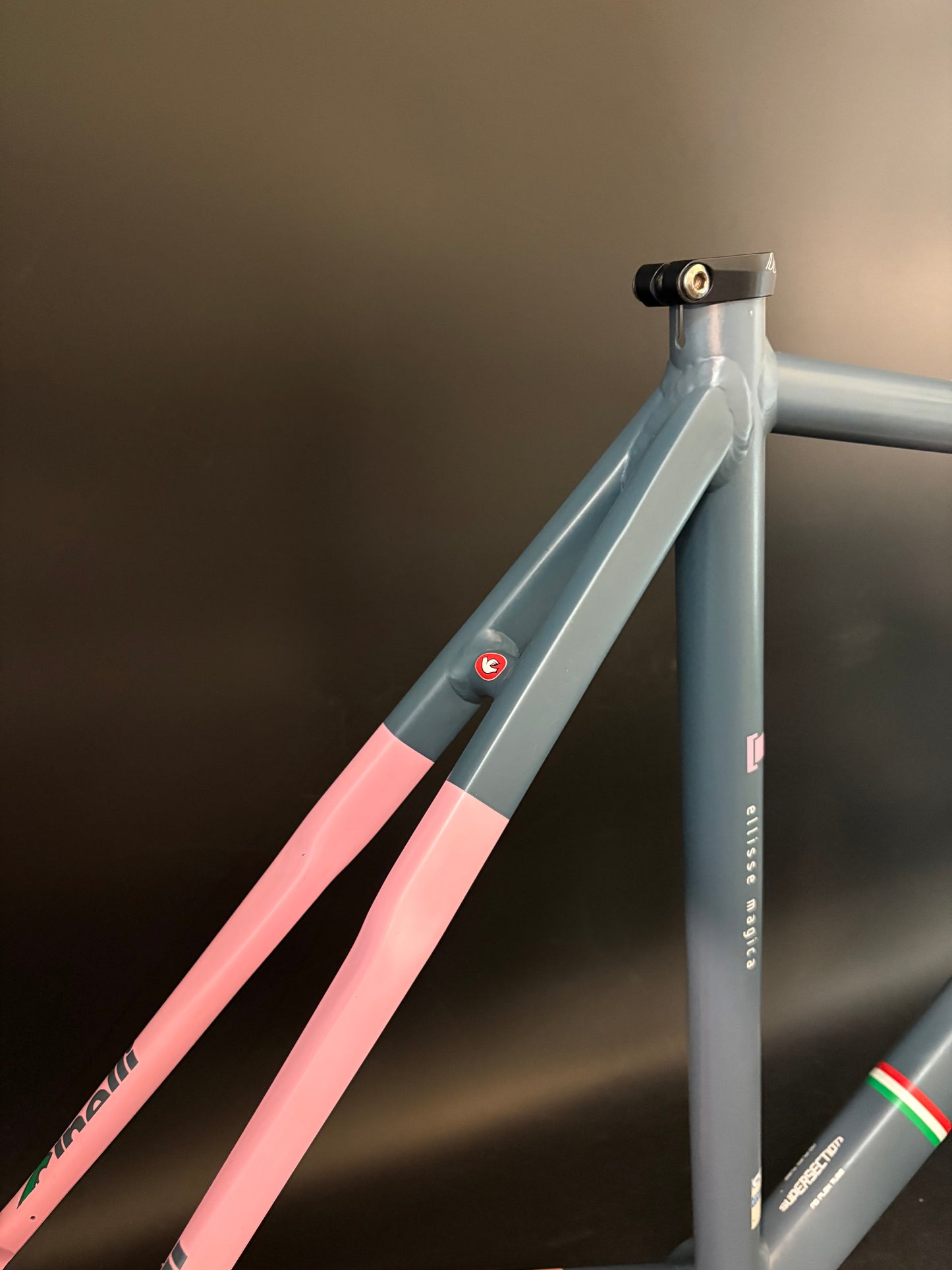 Cinelli Vigorelli Frameset Vigorosa 54cm