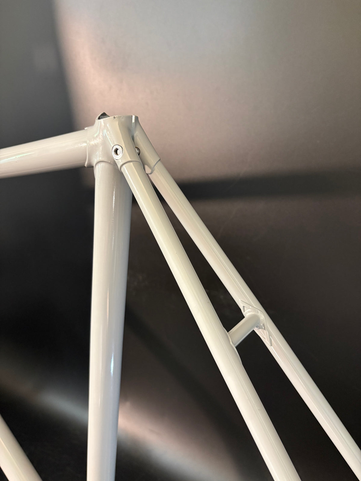 Panasonic NJS Frameset Grey 54cm