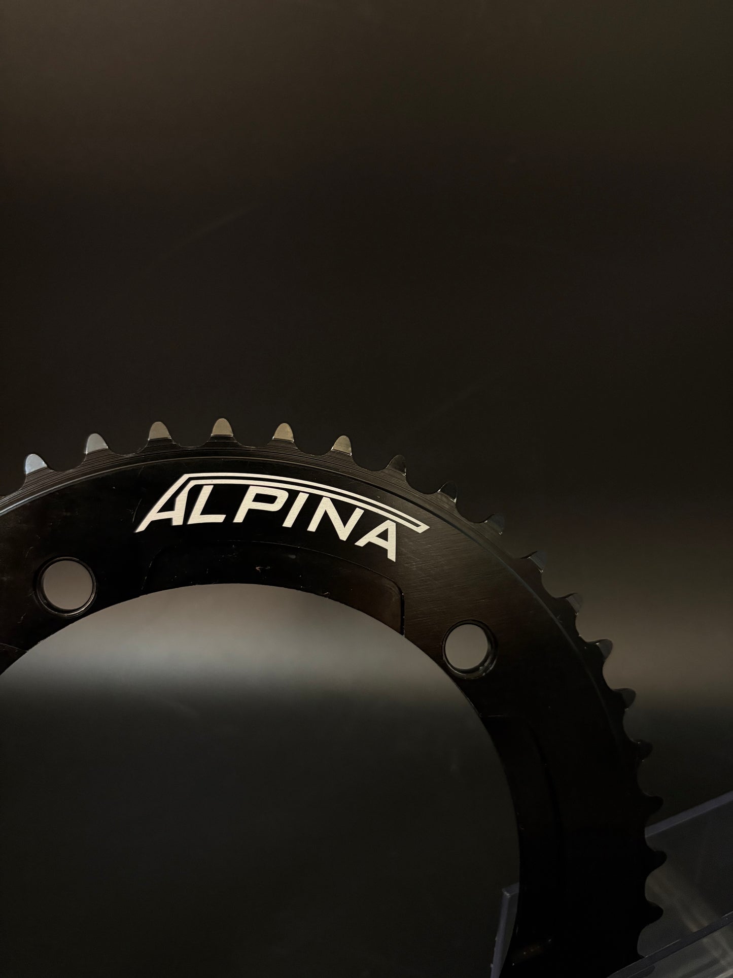 Alpina Chainring Black 48t