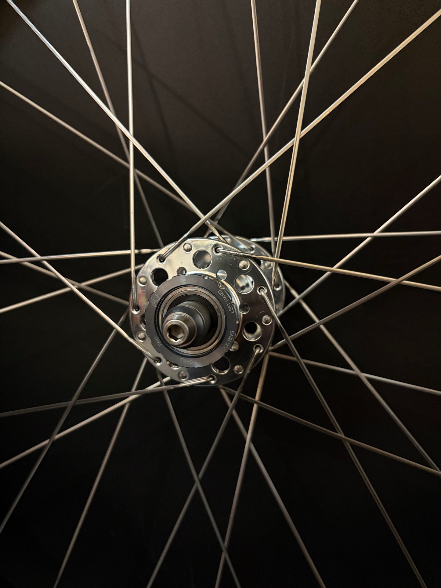 Light Bicycle R55 + R65 Carbon Clincher Rims / Phil Wood Pro HF Silver Wheelset 24/28h