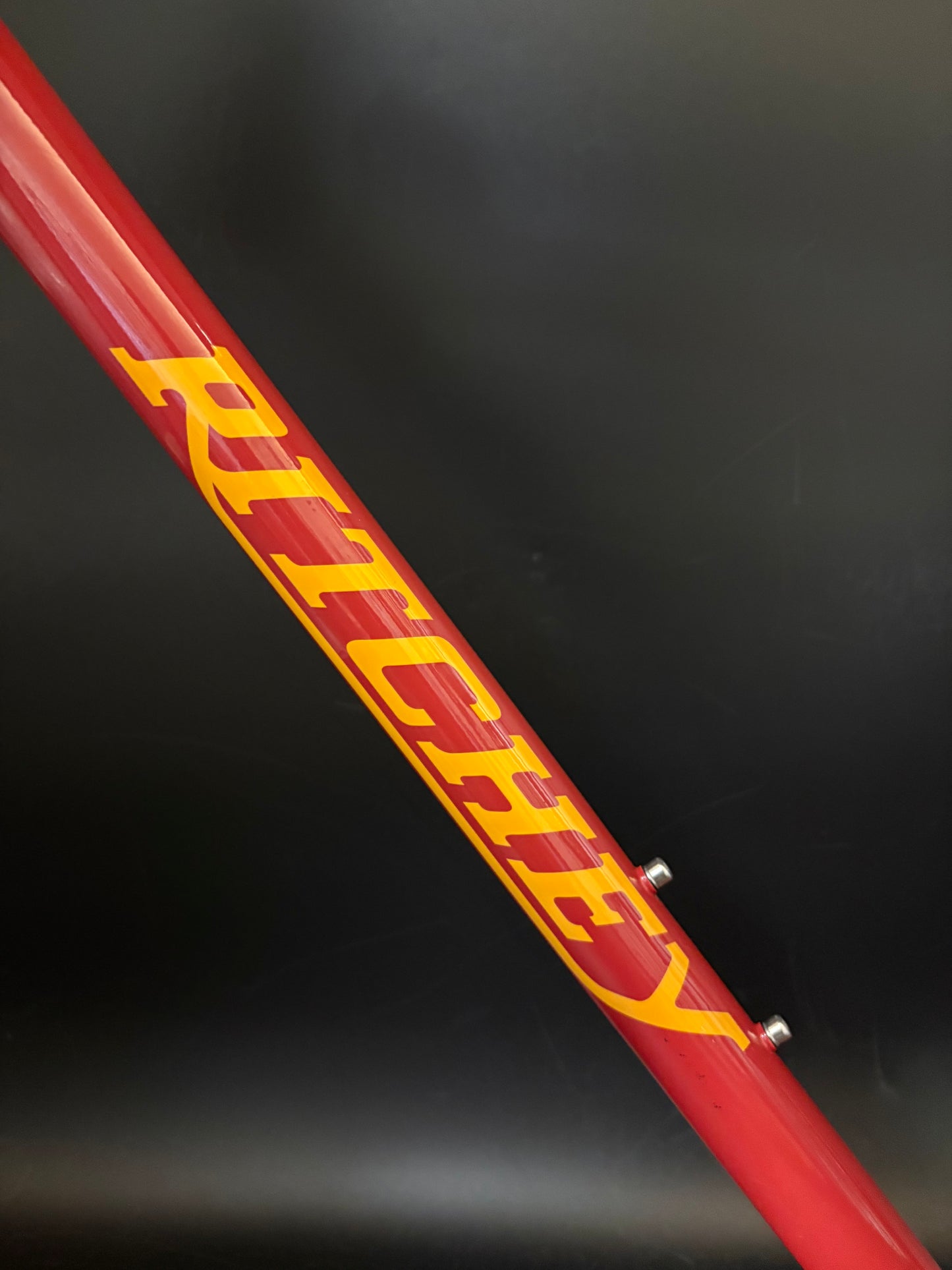 Ritchey Garden City Frameset Red Medium