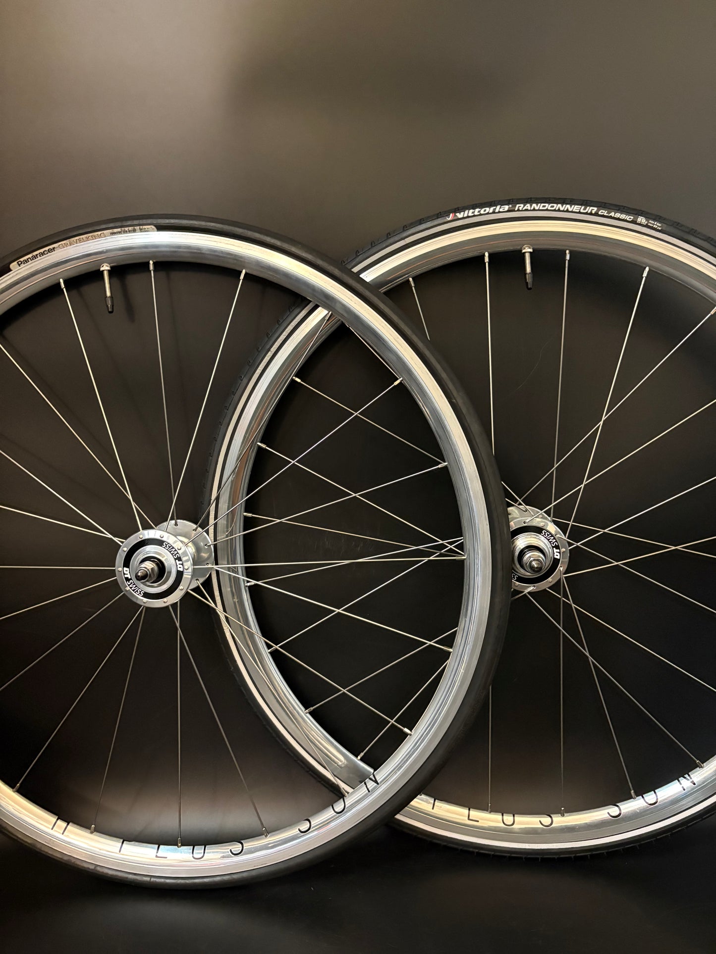 H Plus Son Archetype Silver / DT Swiss Wheelset 20/24h