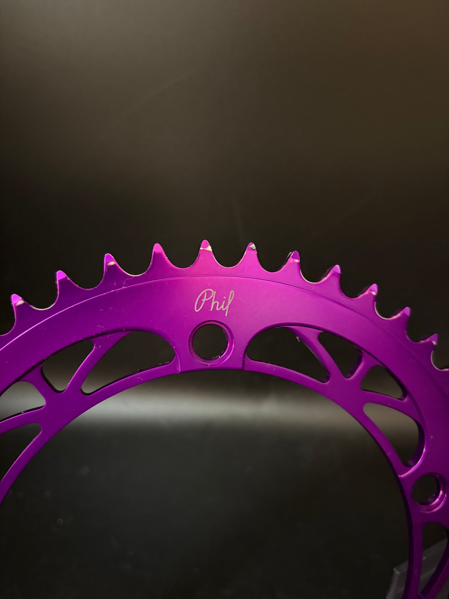 Phil Wood Chainring Purple 48t