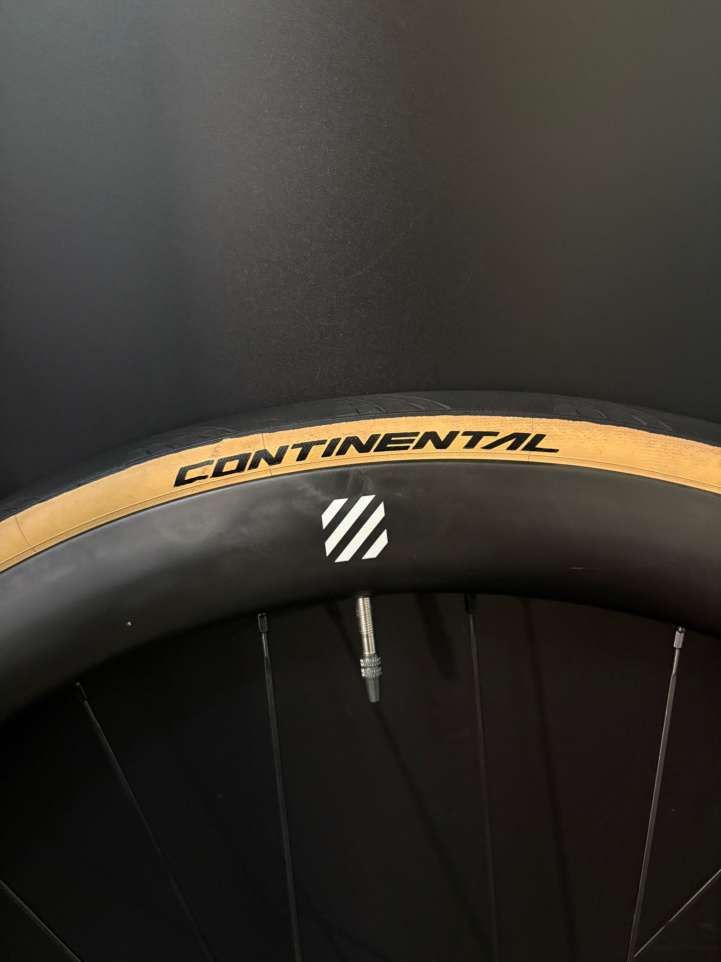 Velobike Vegast 450 Carbon Clincher / DT Swiss Wheelset 20/24h