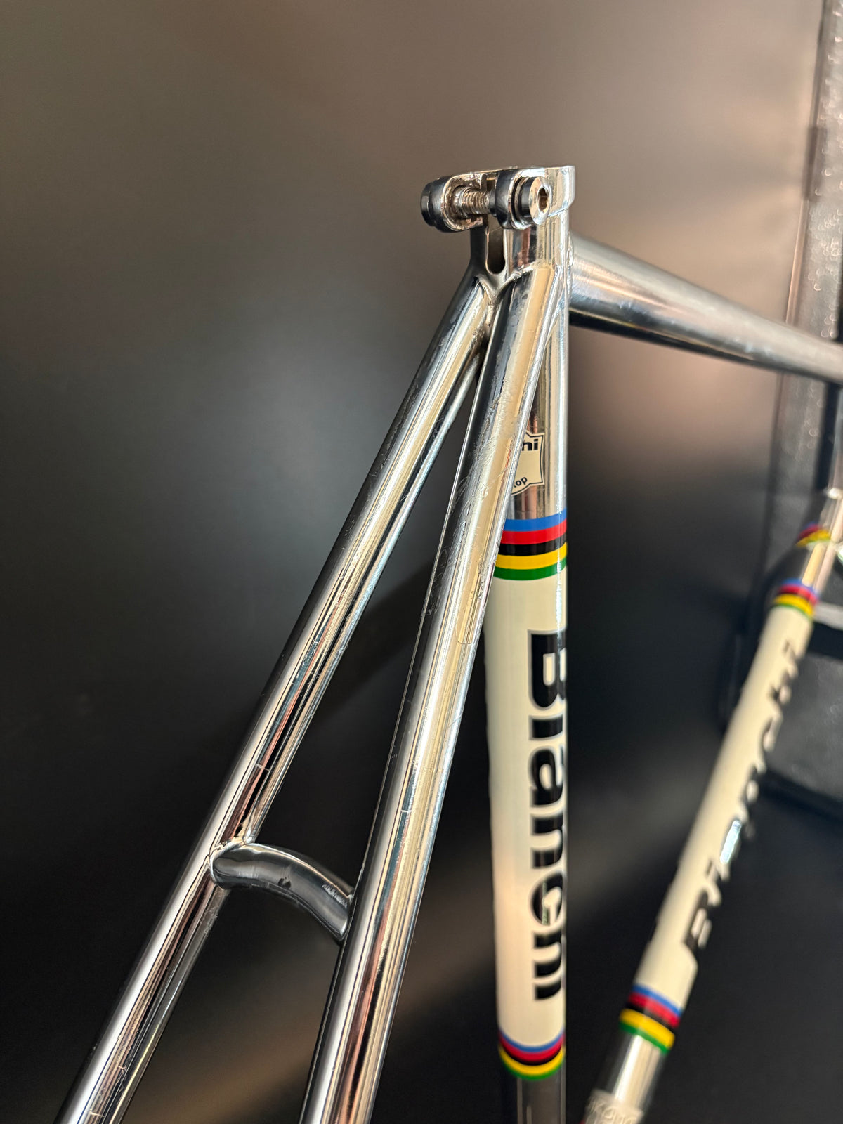 Bianchi Pista Frameset Chrome 59cm