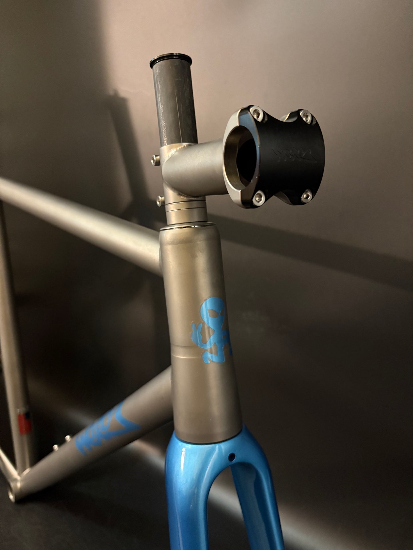 NEW Weis Hammer Ti Track Frameset Titanium Custom Finishing 55.5cm TT 71cm ST center