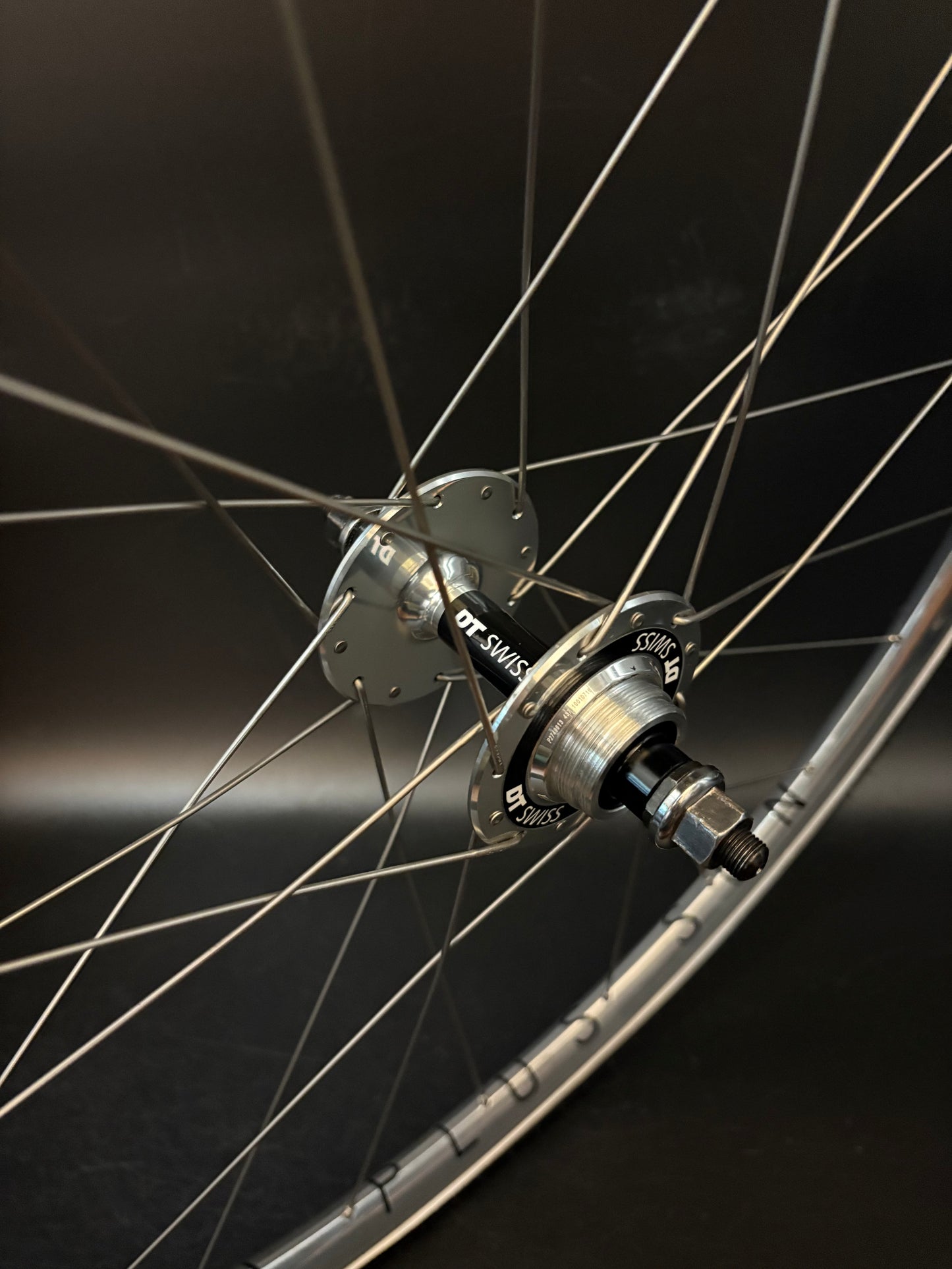H Plus Son Archetype Silver / DT Swiss Wheelset 20/24h